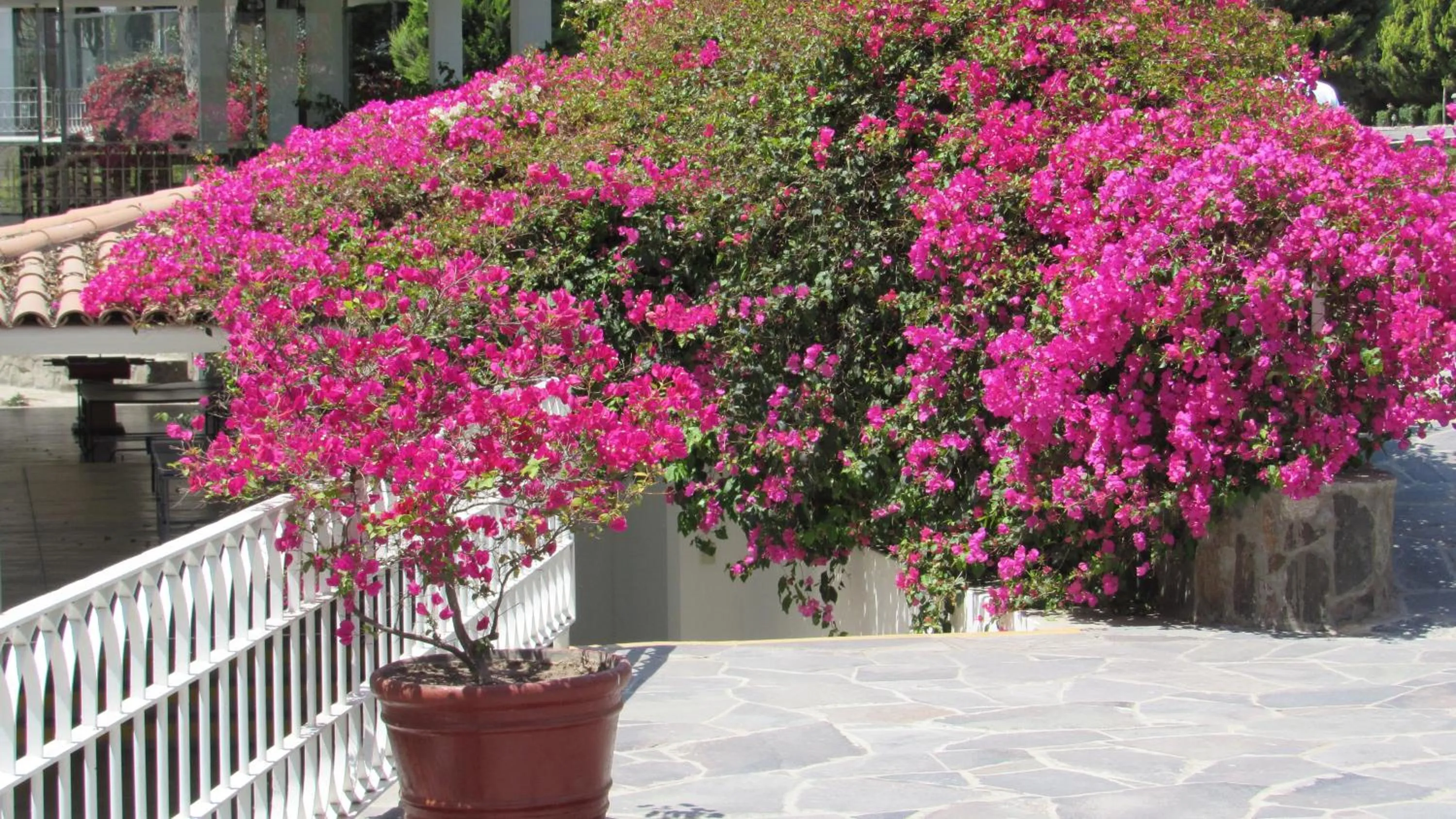 Guizado Portillo Hacienda & Resort