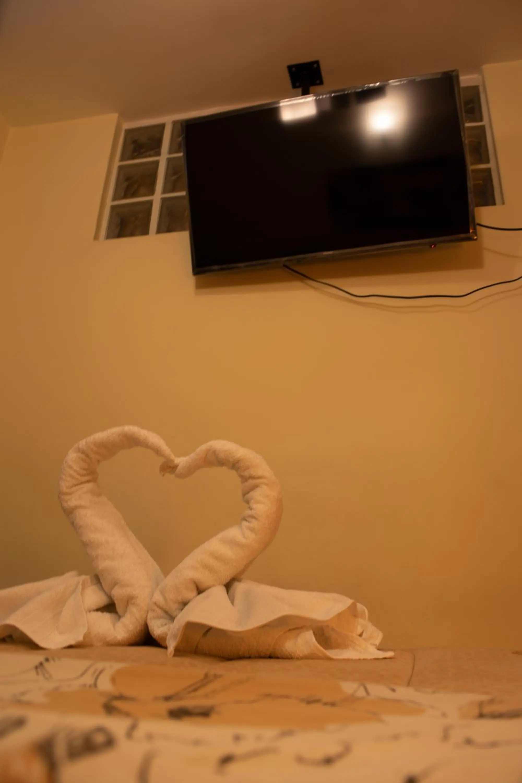 TV and multimedia in Tambo del Solar