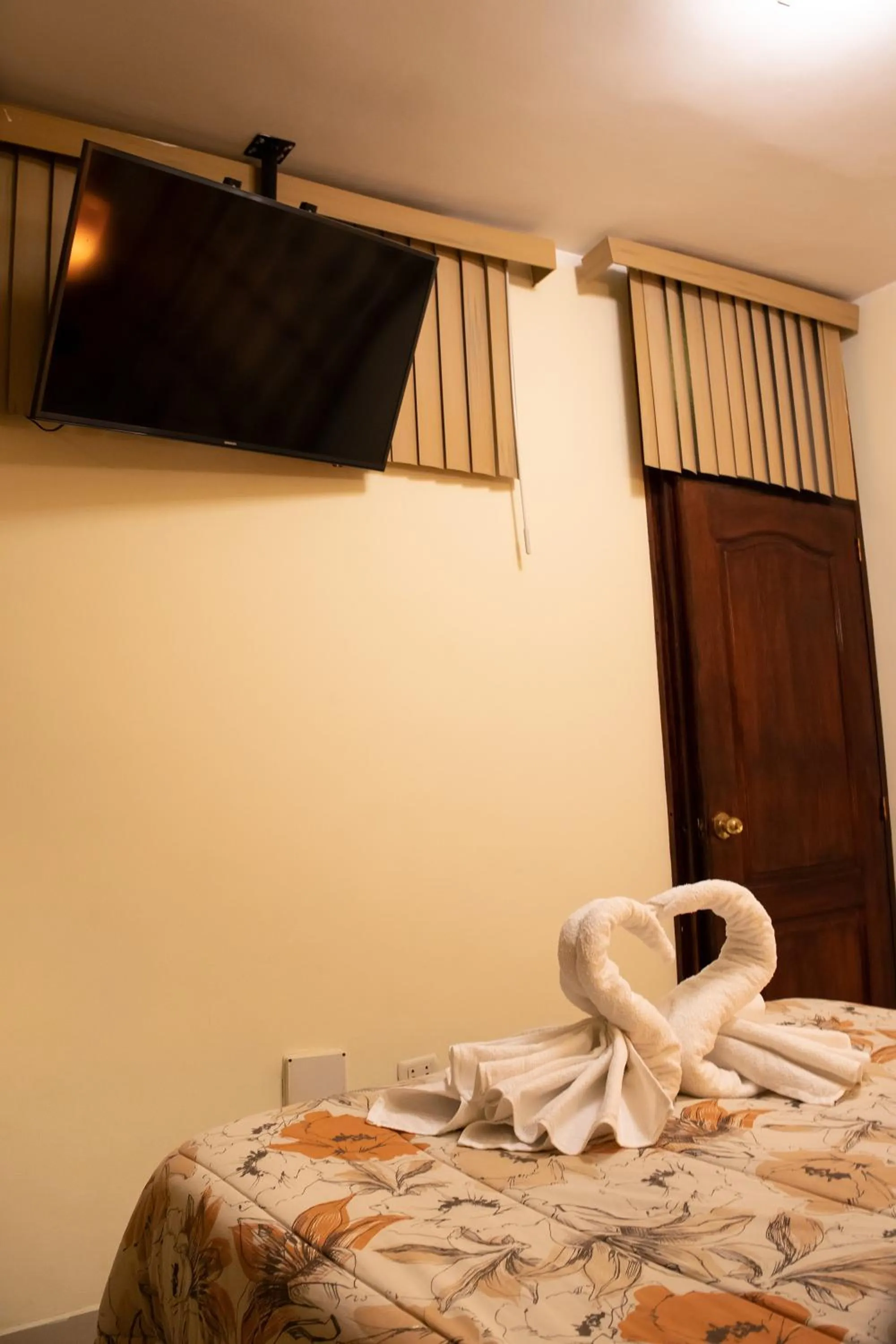 TV and multimedia, Bed in Tambo del Solar