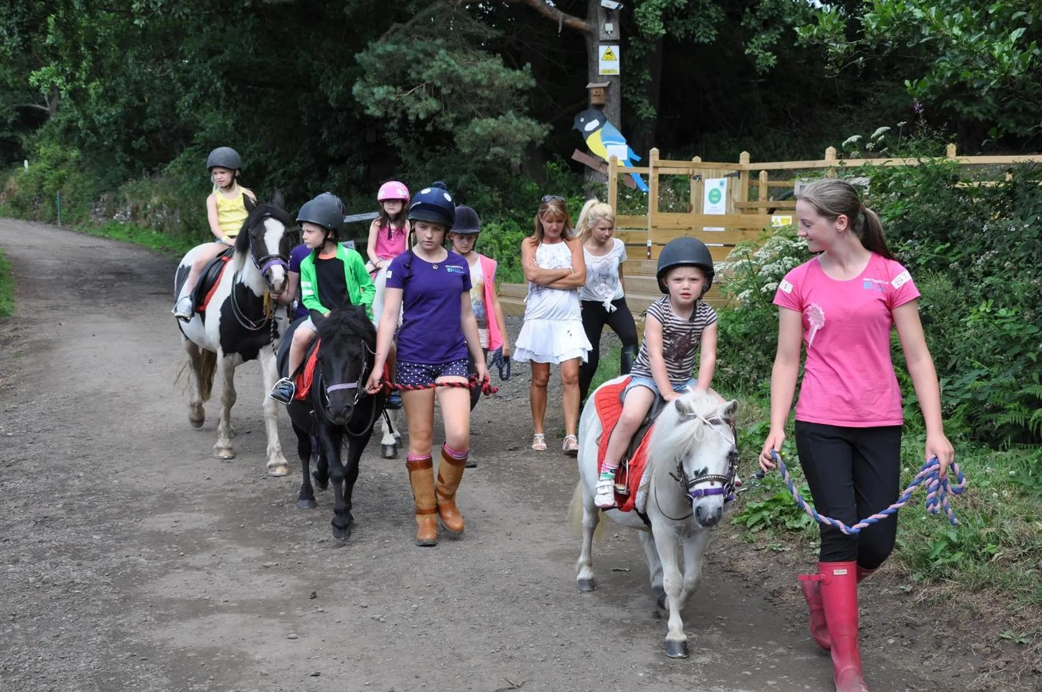 Horse-riding in Wellsfield Farm Holiday Lodges