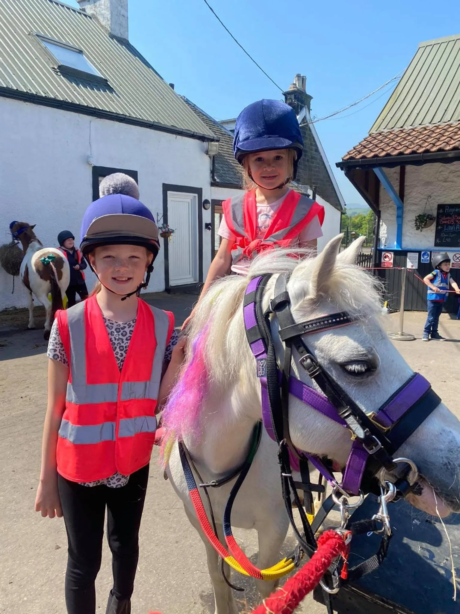 Wellsfield Farm Holiday Lodges