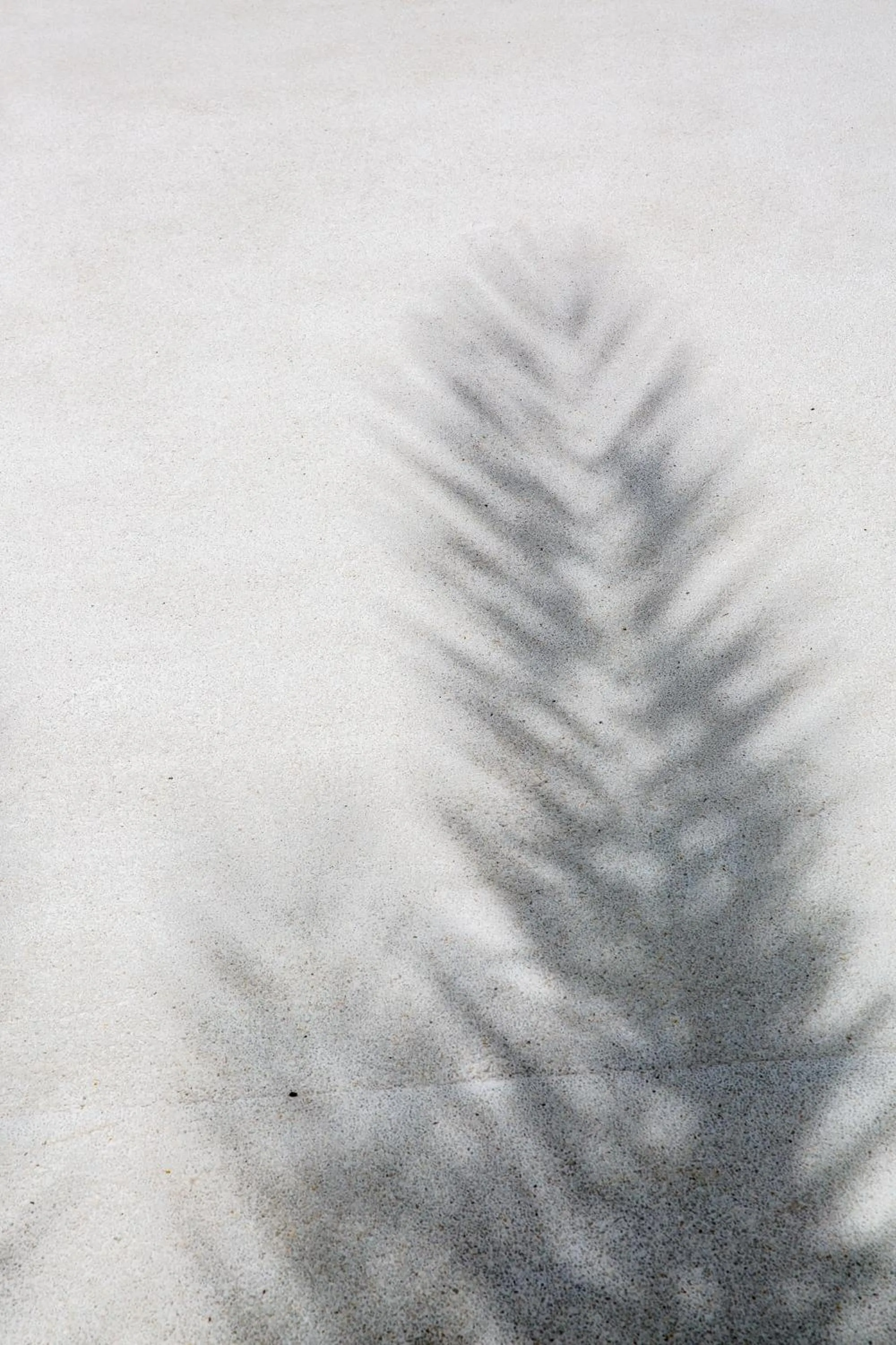 Natural landscape in Tembo Beach Club & Resort