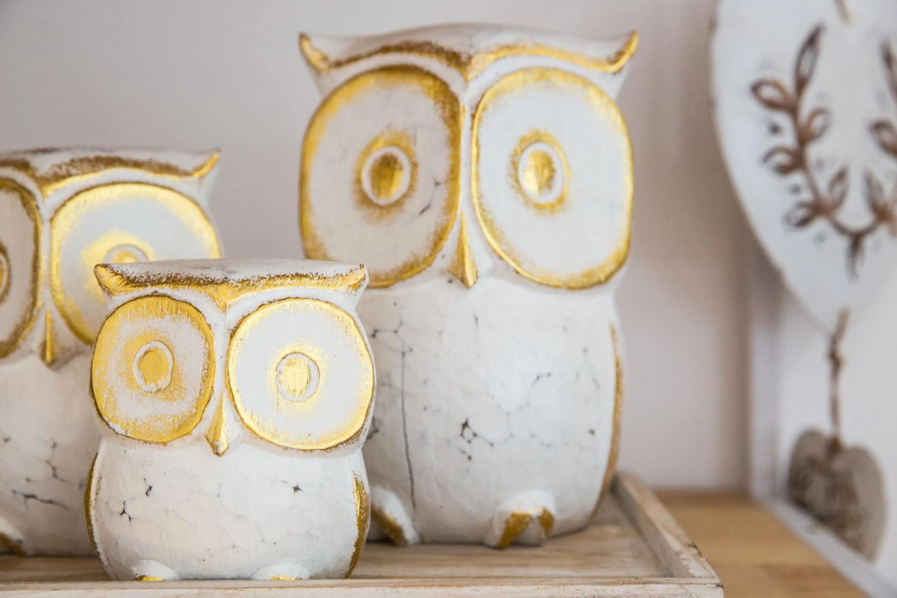 Activities in Tembo Beach Club & Resort