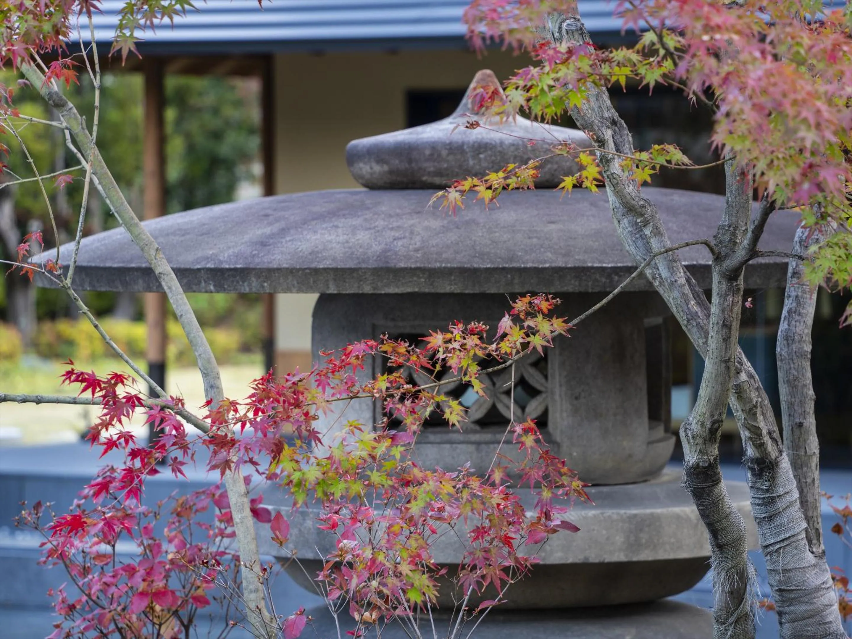 Natural landscape in ROKU KYOTO, LXR Hotels & Resorts by Hilton