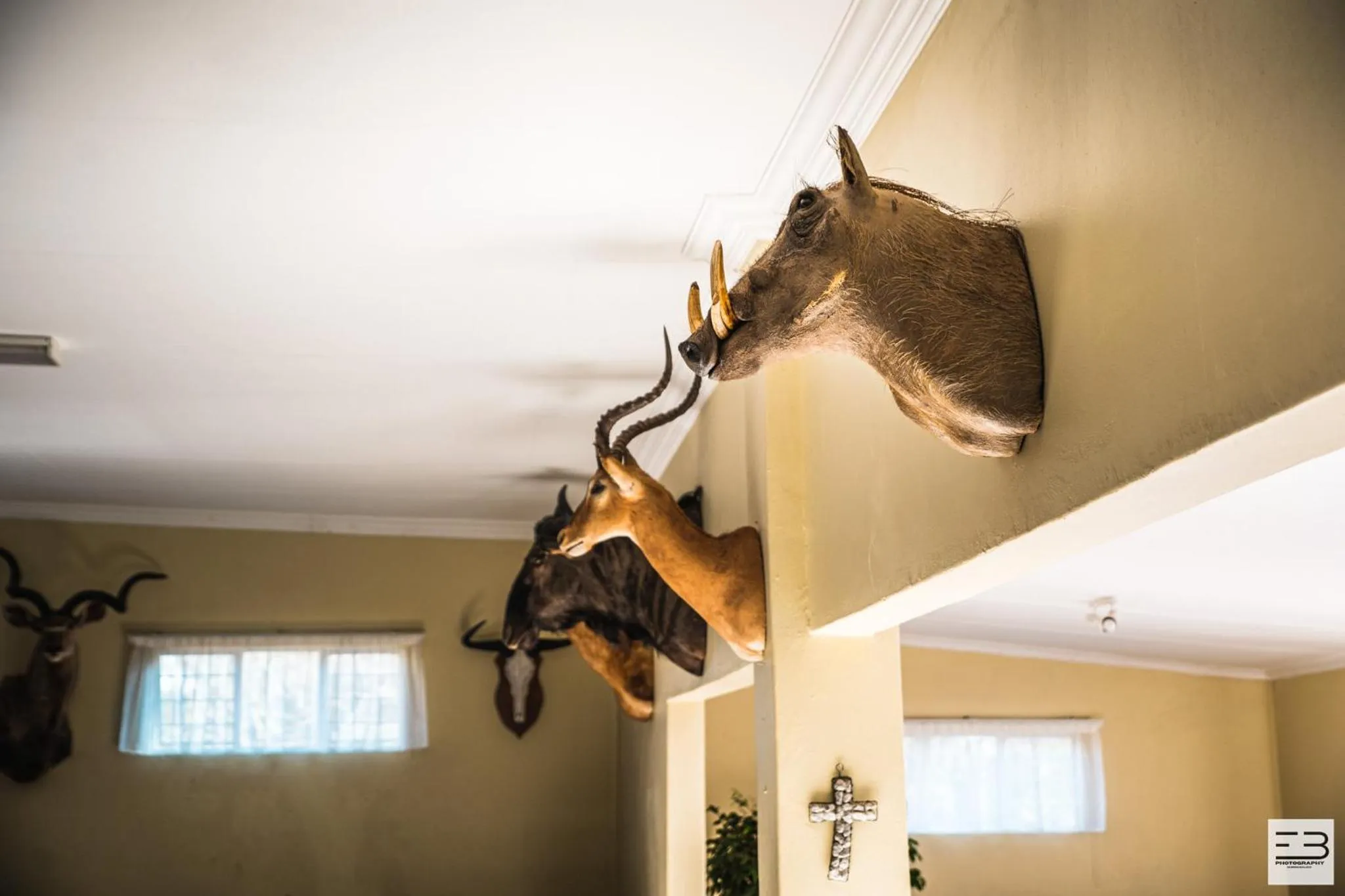 Decorative detail in Geluksfontein Private Game Farm