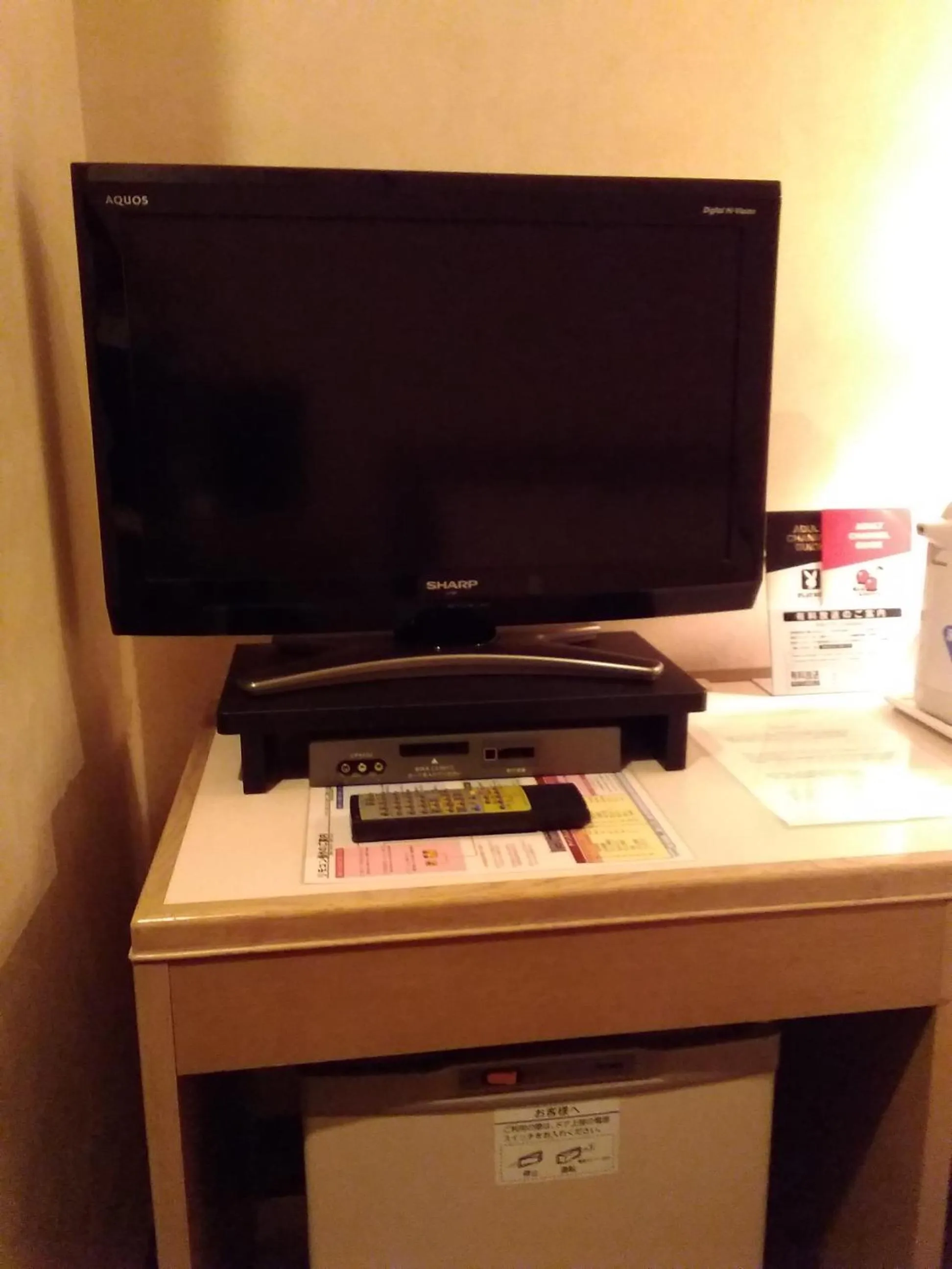 TV and multimedia in Grand Hotel Kanachu Hadano