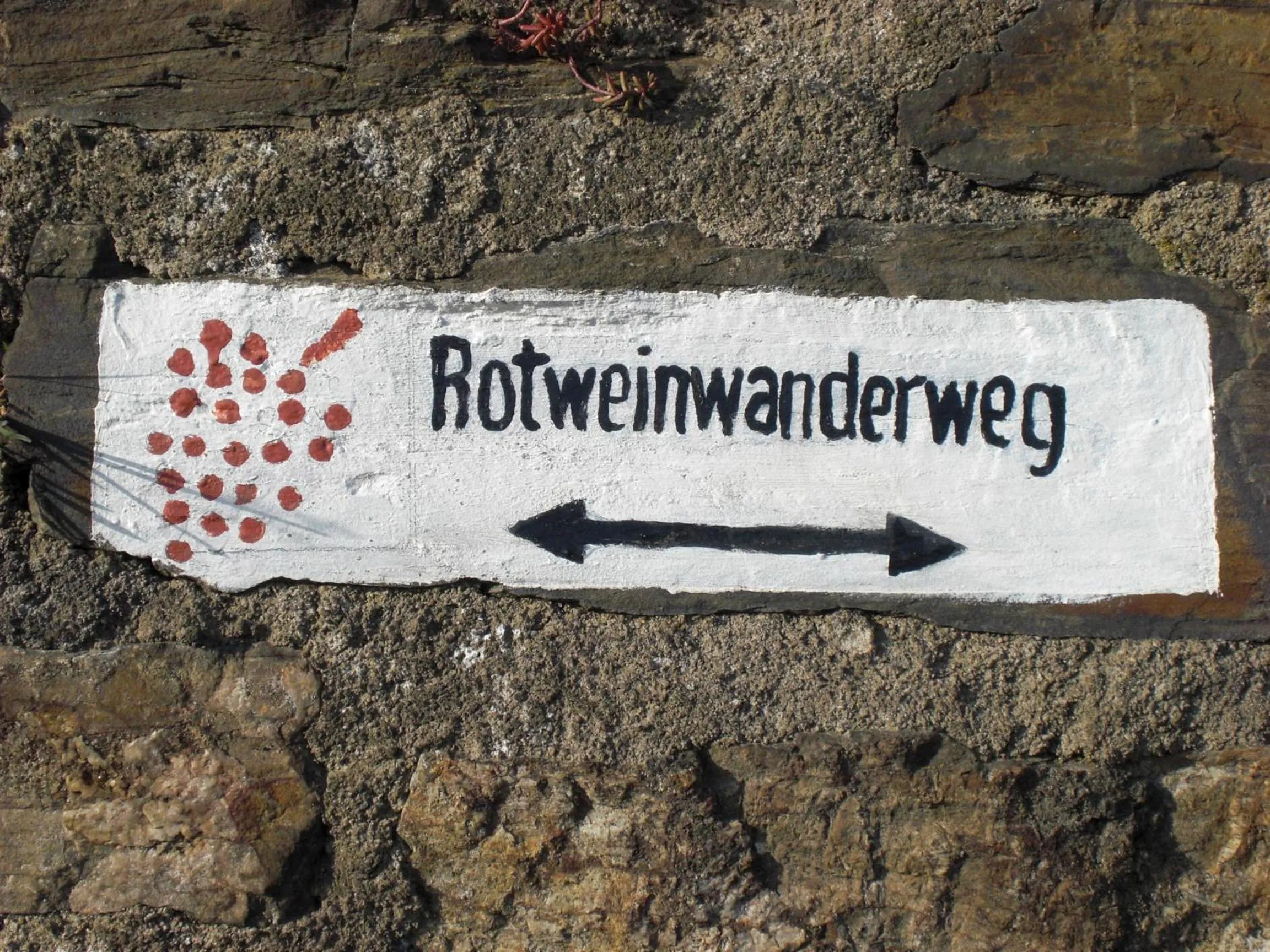 Hiking in Hotel Ännchen