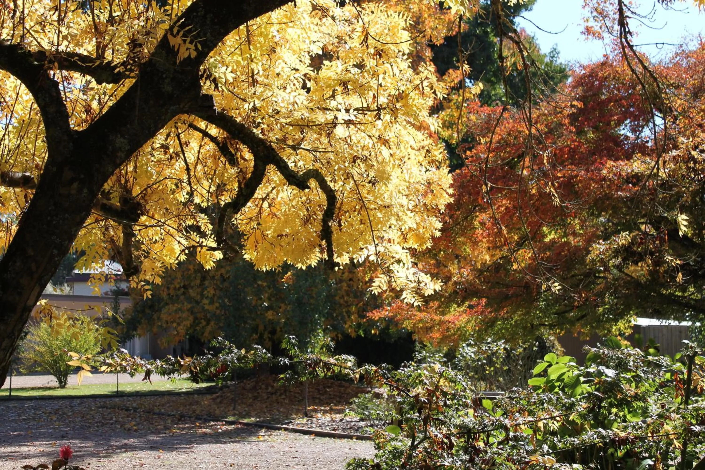 Garden in Buffalo Motel and Country Retreat