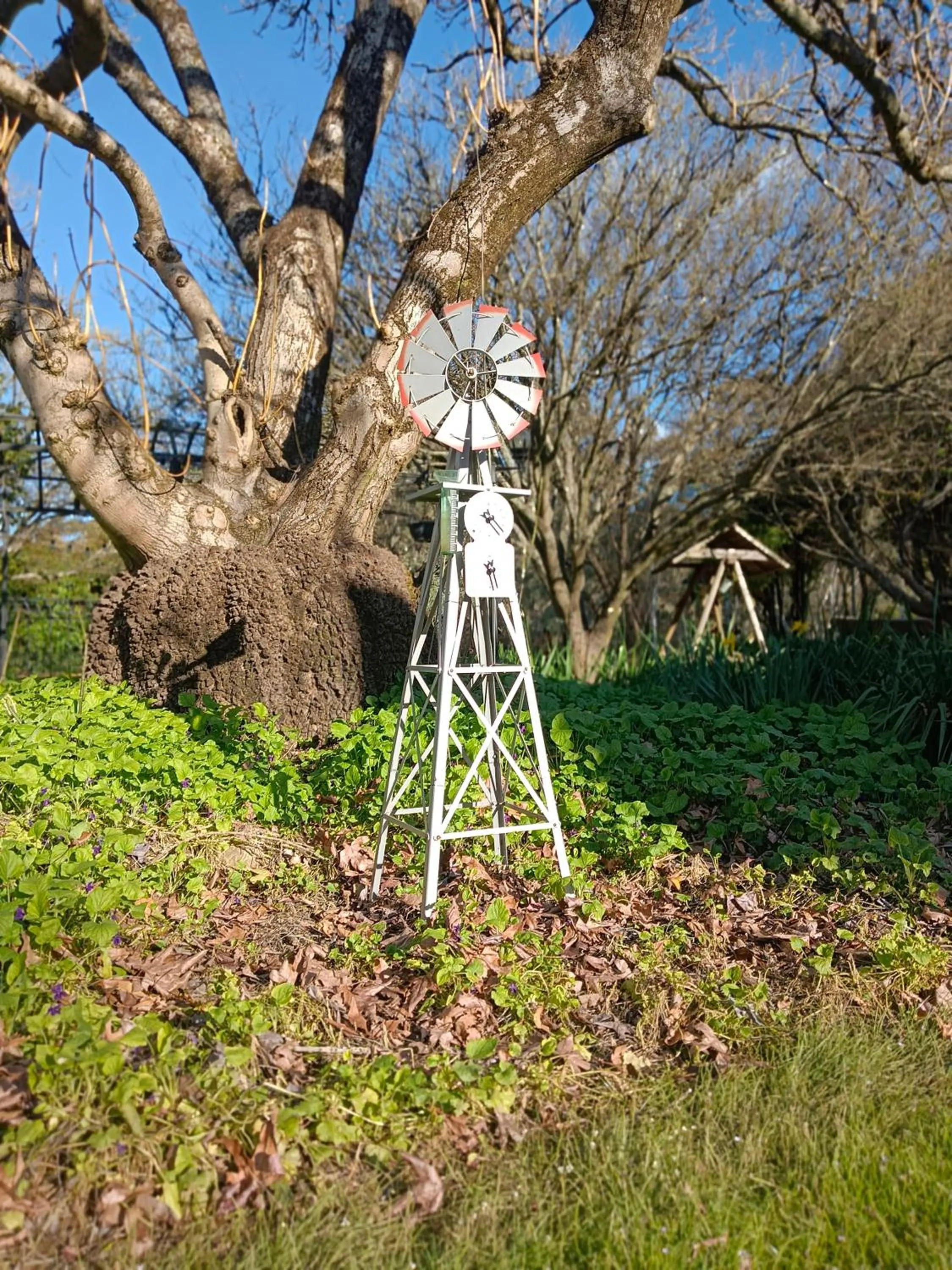 Garden in Buffalo Motel and Country Retreat