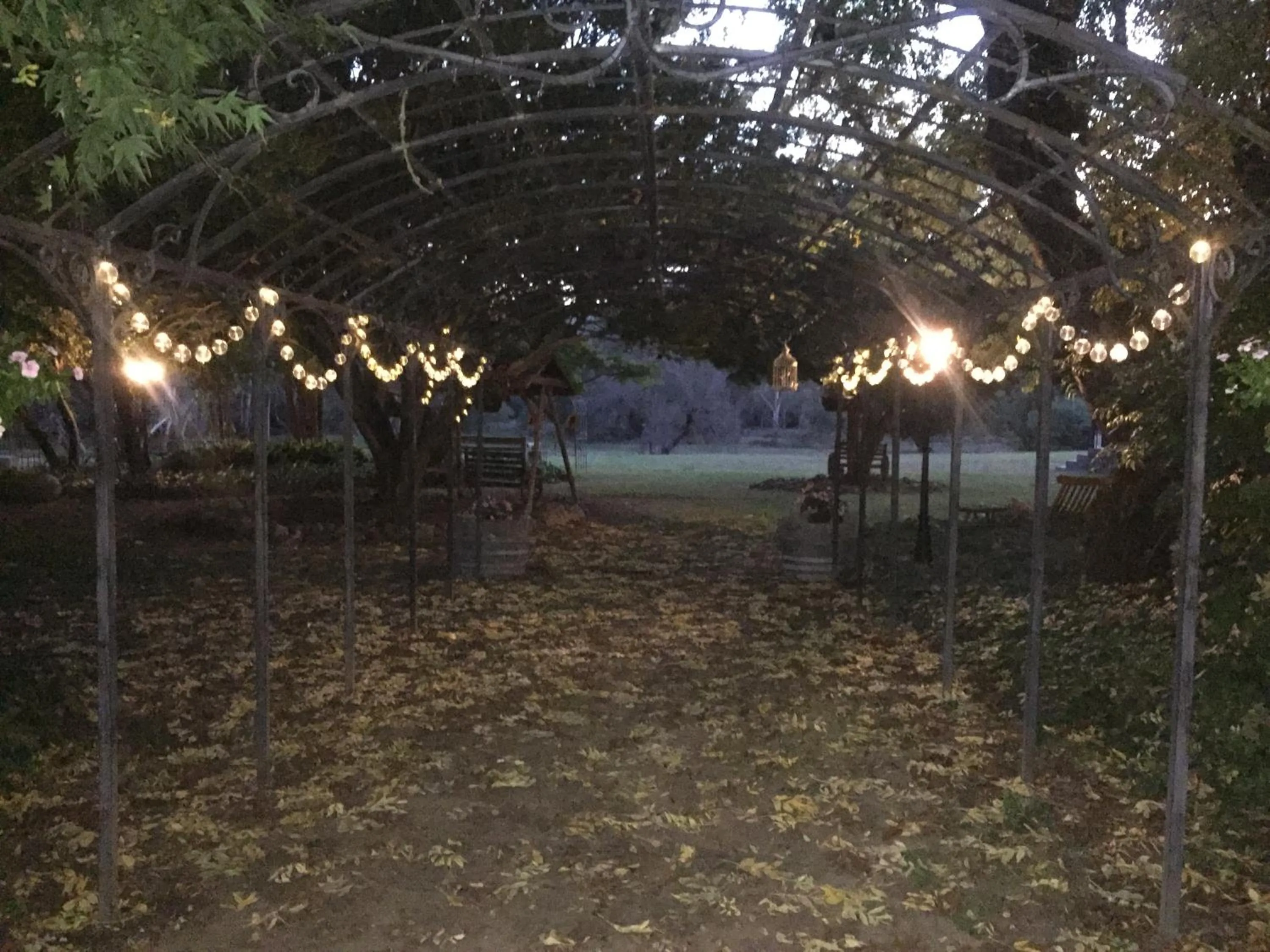 Garden in Buffalo Motel and Country Retreat