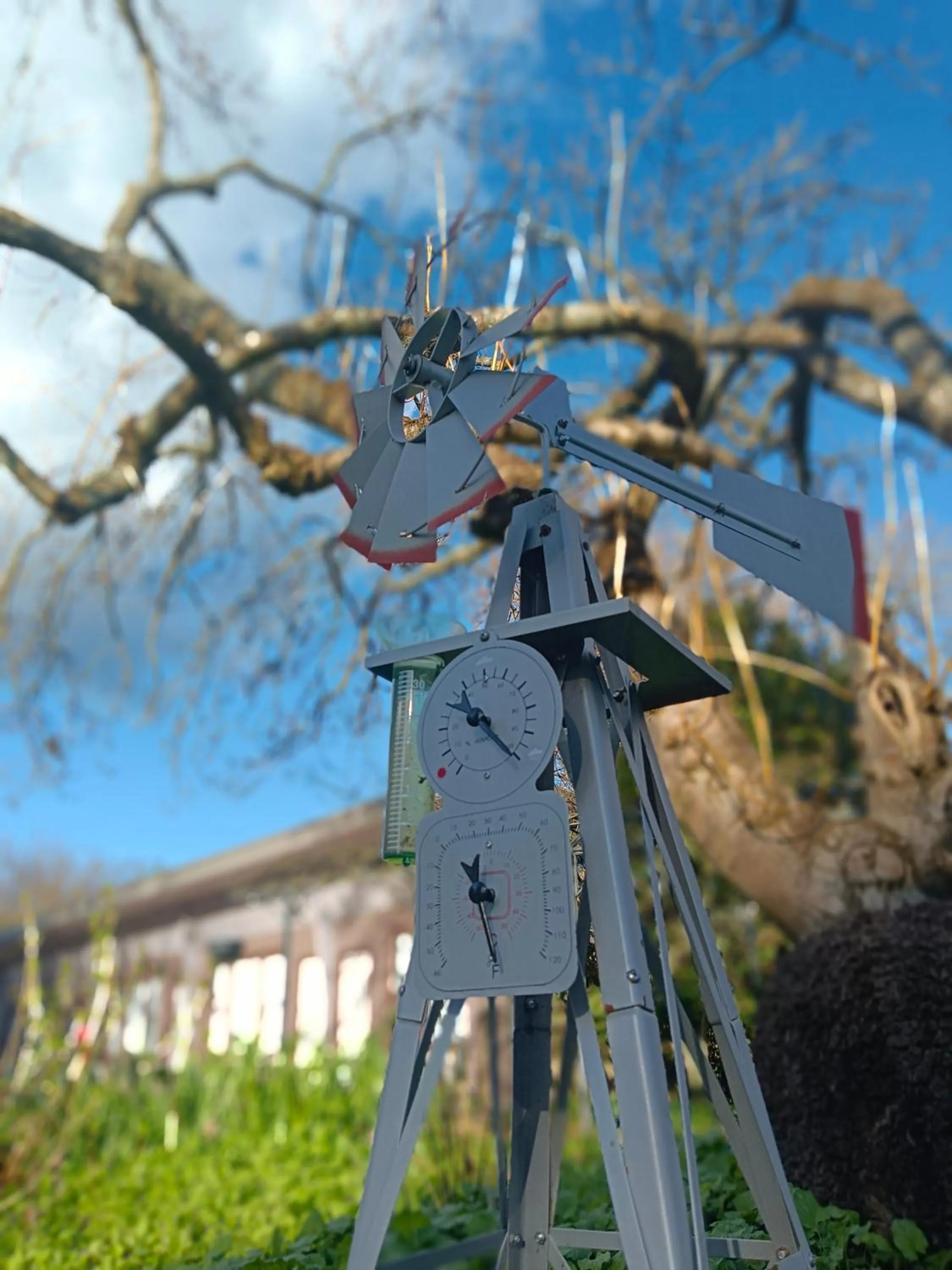 Garden in Buffalo Motel and Country Retreat