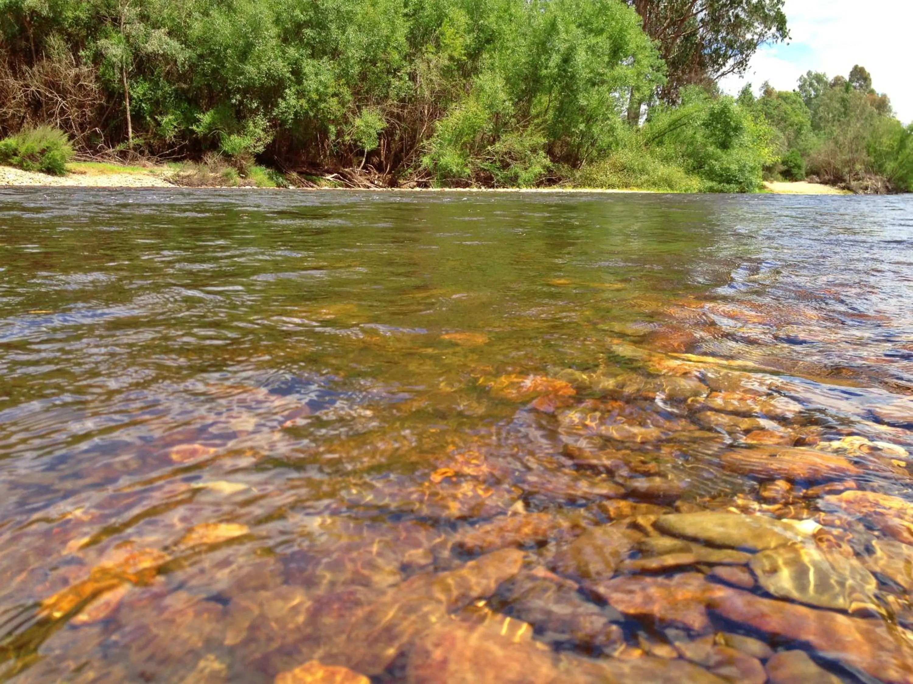 Area and facilities in Buffalo Motel and Country Retreat