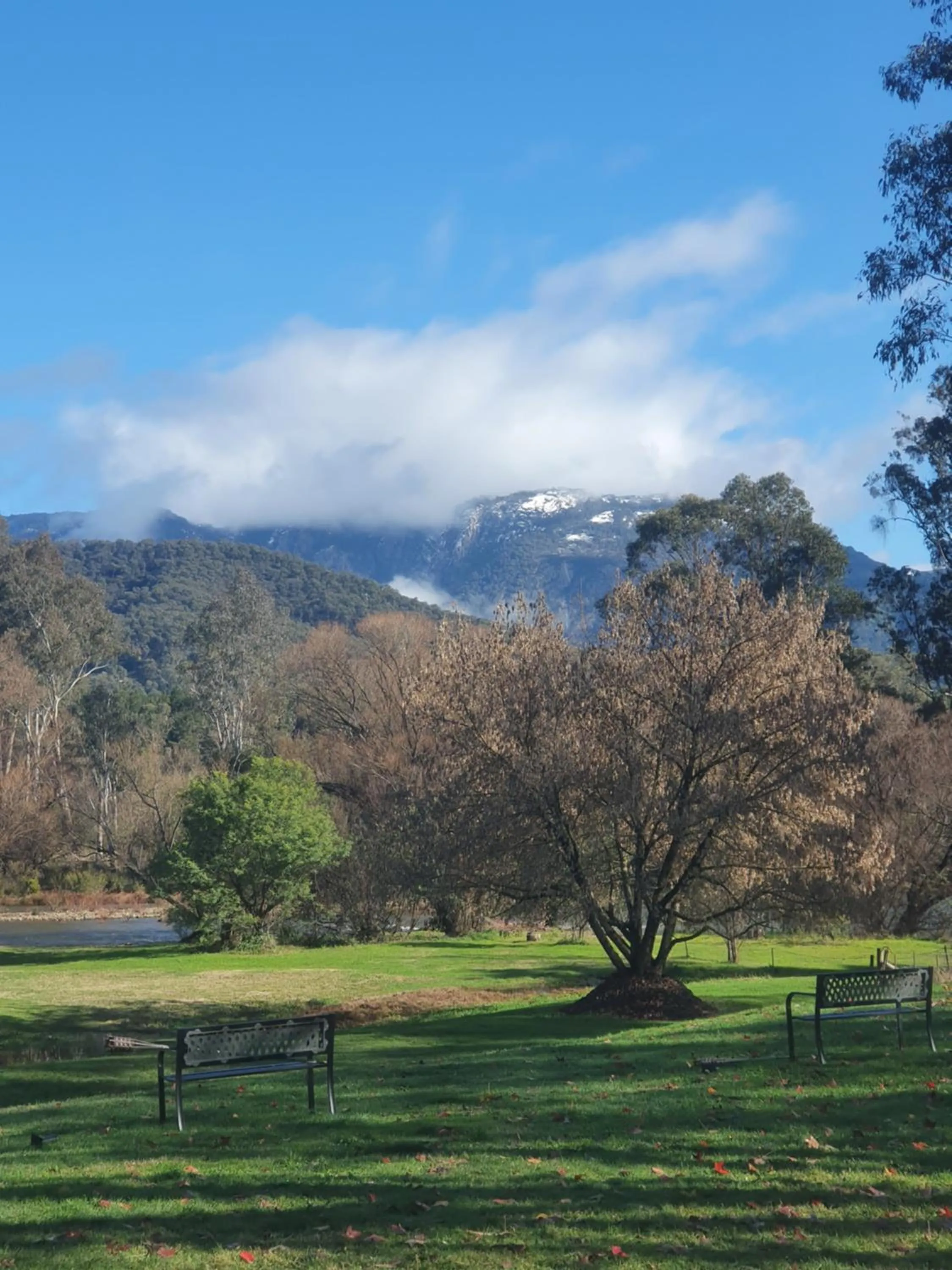Buffalo Motel and Country Retreat