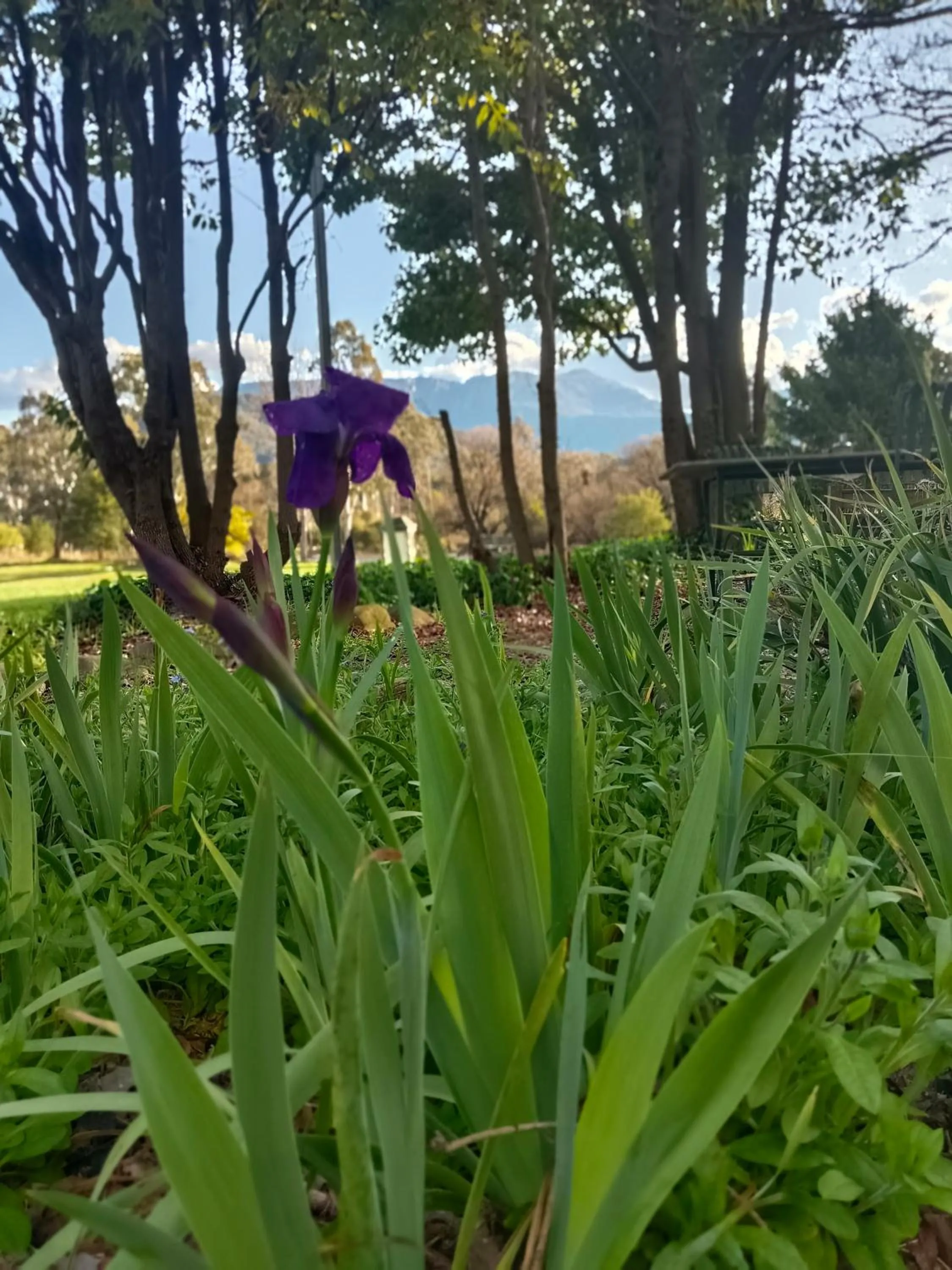 Garden in Buffalo Motel and Country Retreat