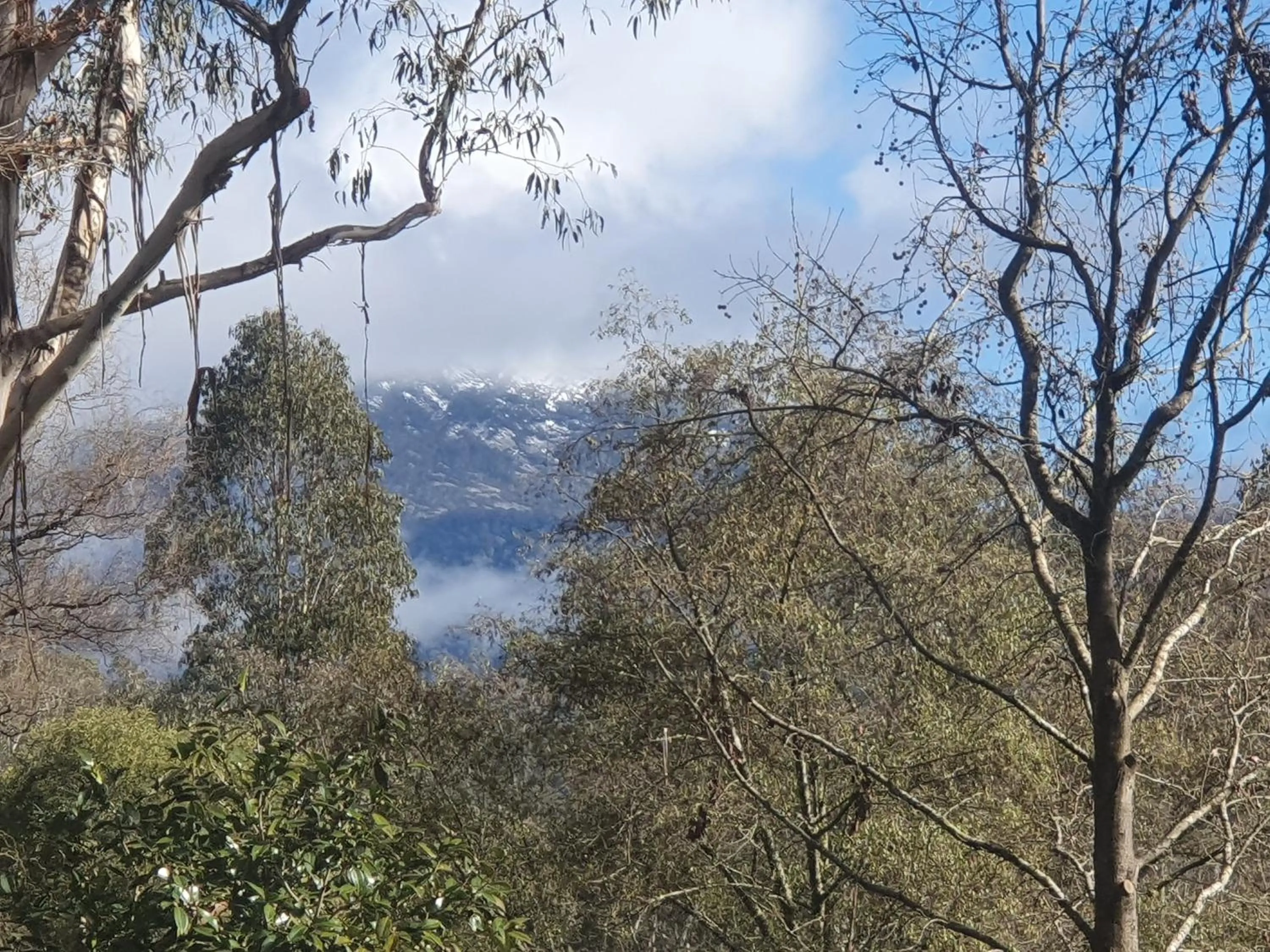 Buffalo Motel and Country Retreat