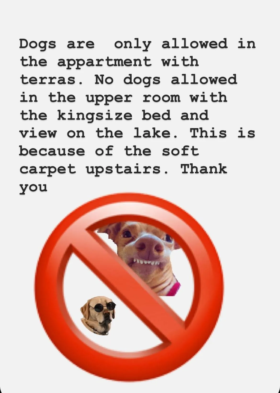 Amster Houseboat Bed without Breakfast