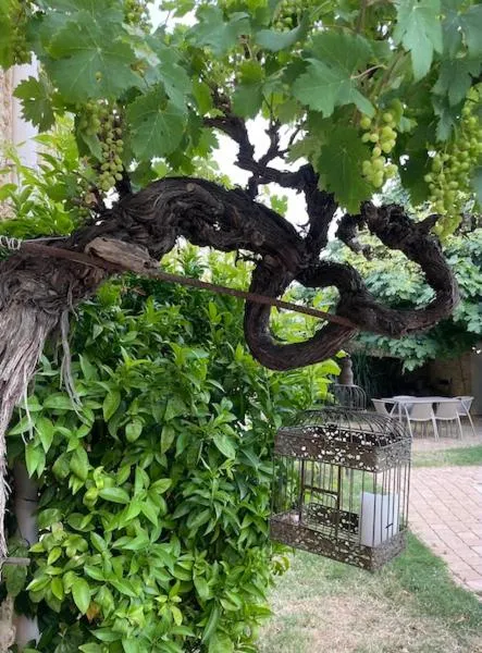 Chambres d'hôtes la Soulenque Luxury B & B