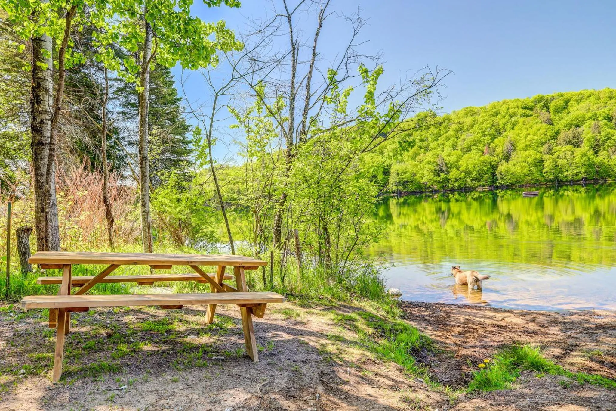 Suites du Lac Moore by Manitonga