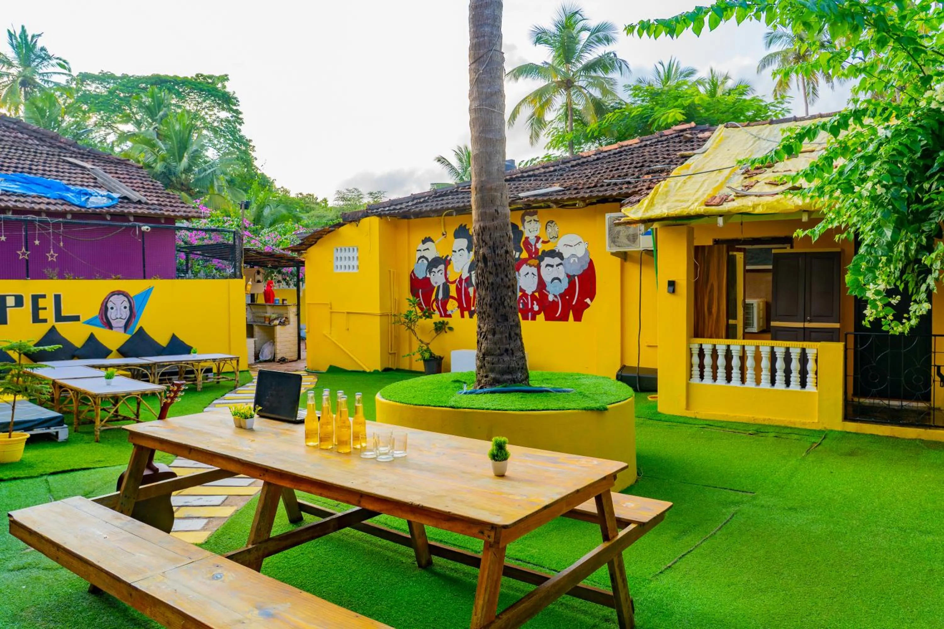 Garden in Whoopers Hostel Palolem