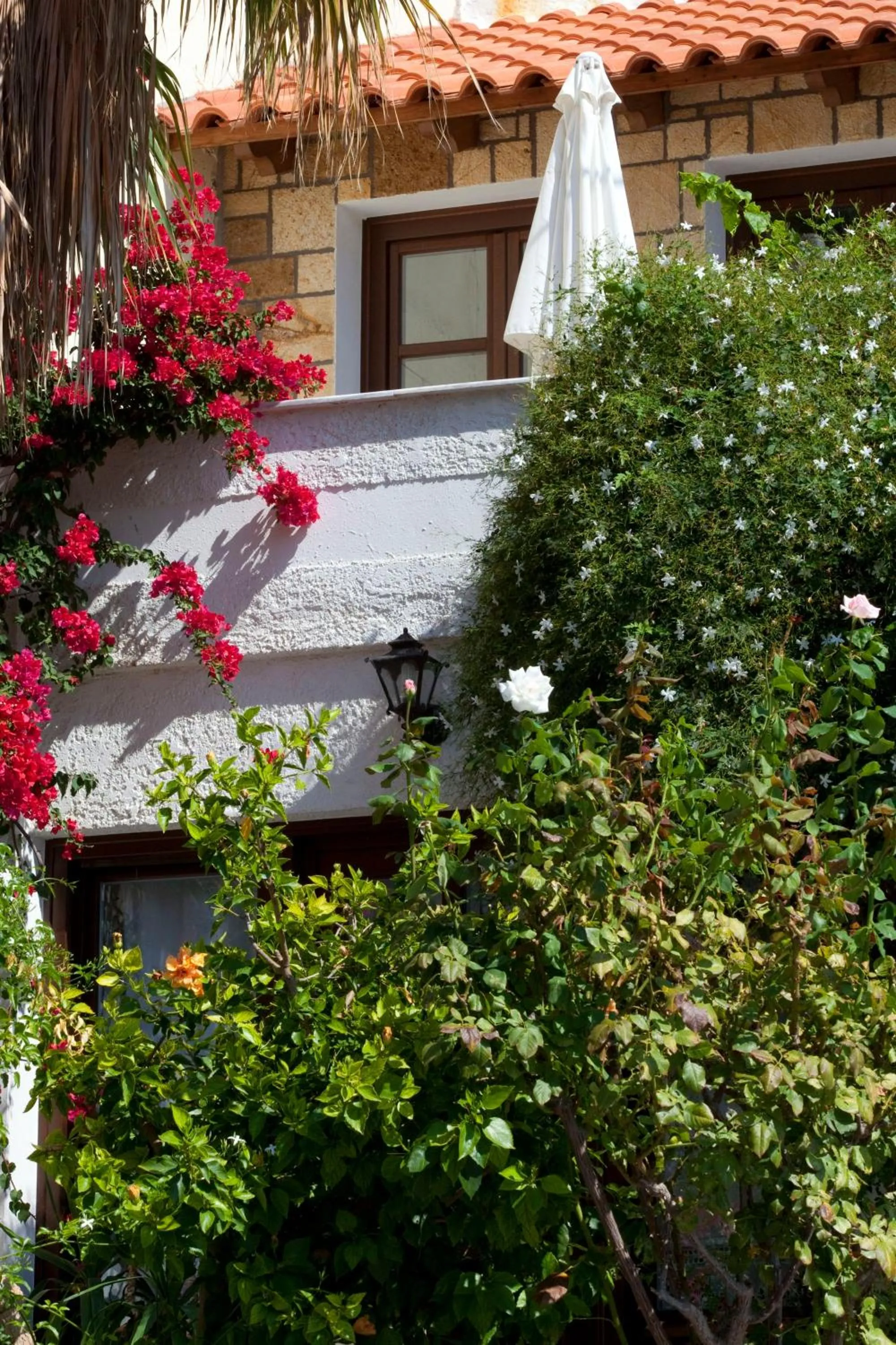 Facade/entrance in Notis Hotel