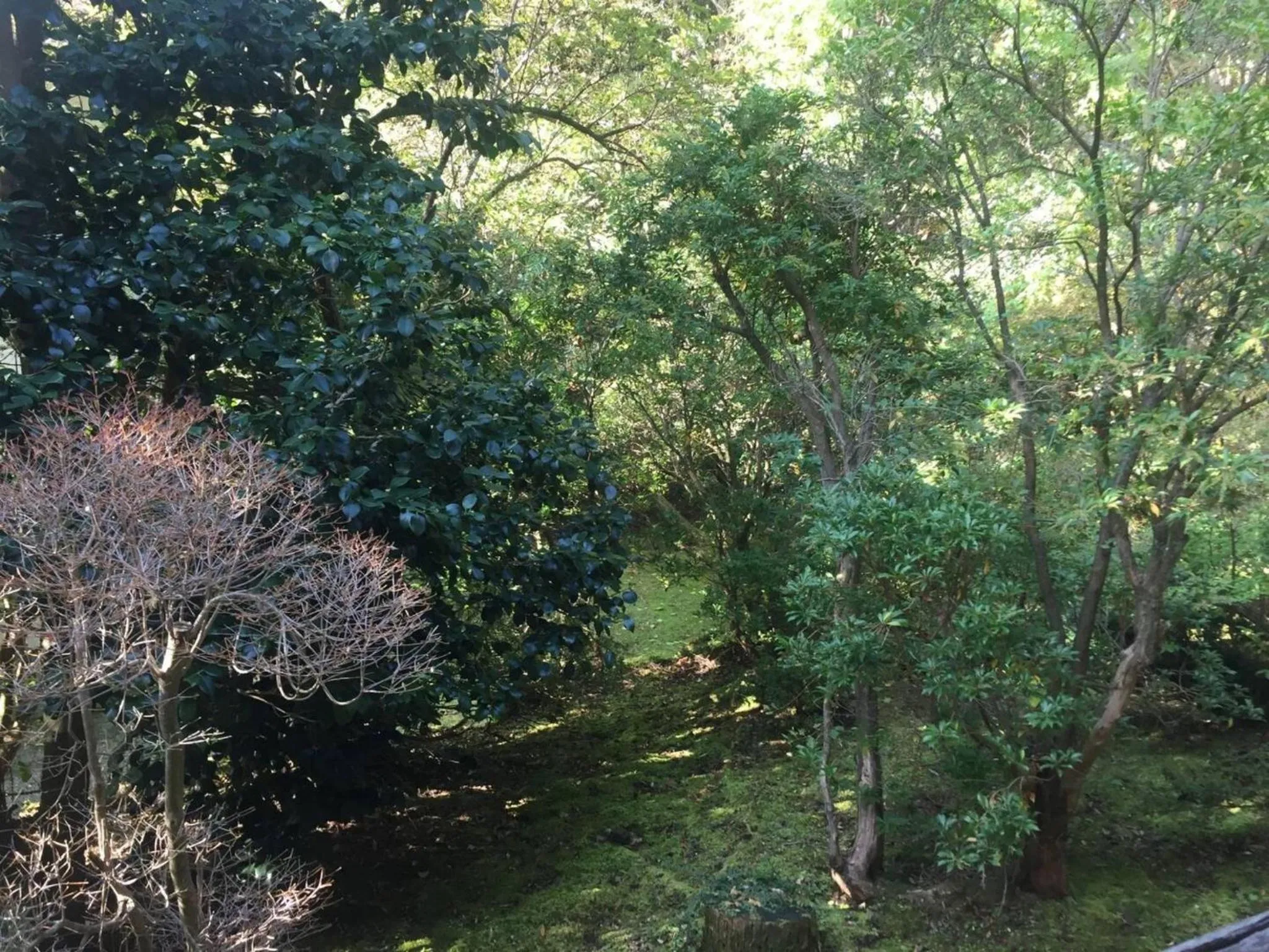 Trust Maison Sengokuhara - Vacation STAY 32251v