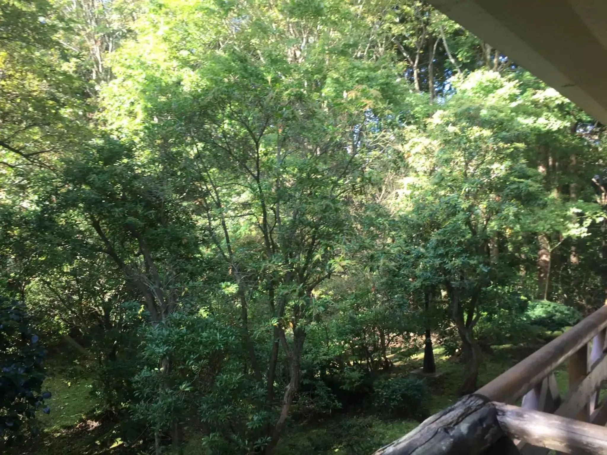 Trust Maison Sengokuhara - Vacation STAY 32251v