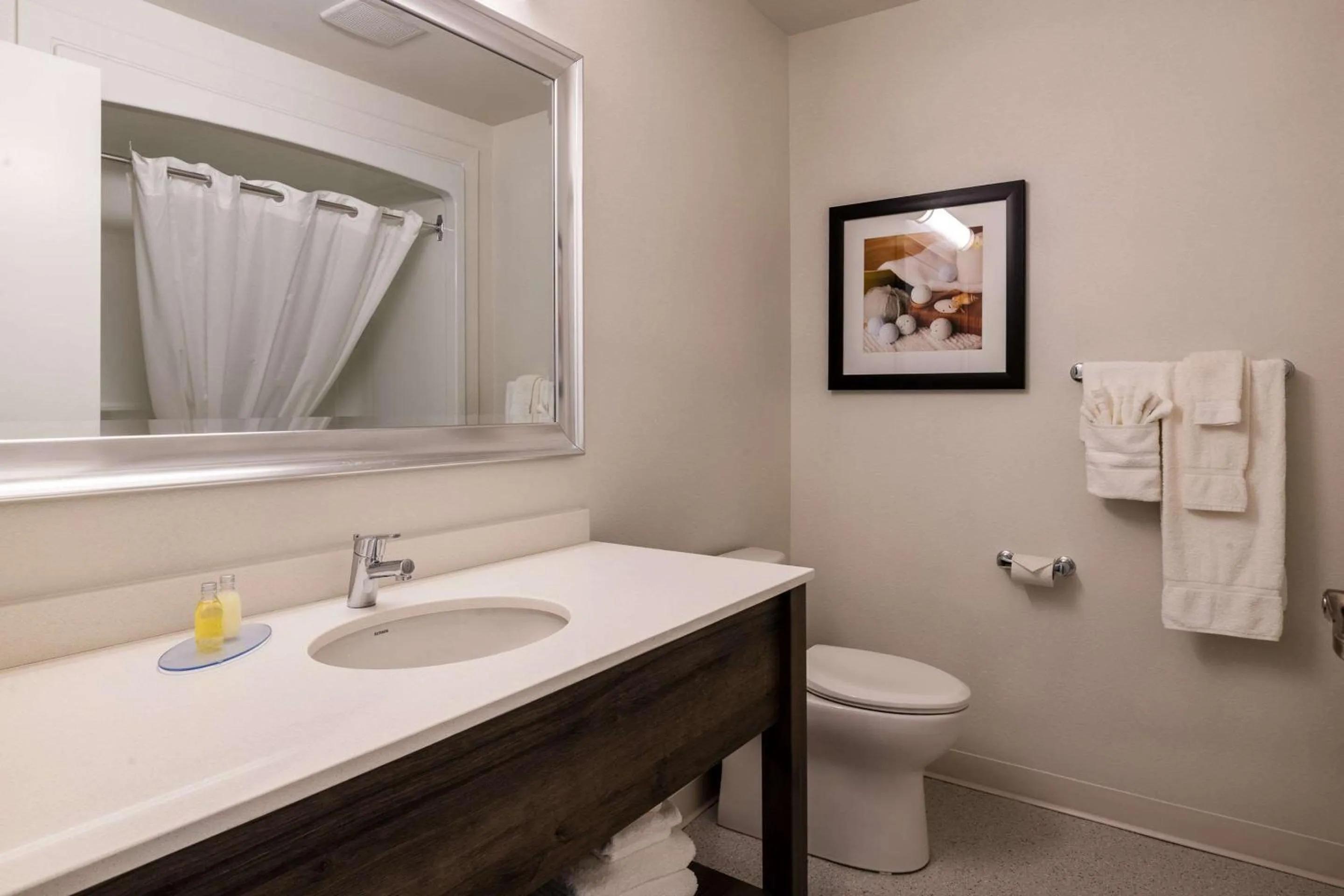 Bedroom in Amsterdam Inn & Suites, an Ascend Collection Hotel