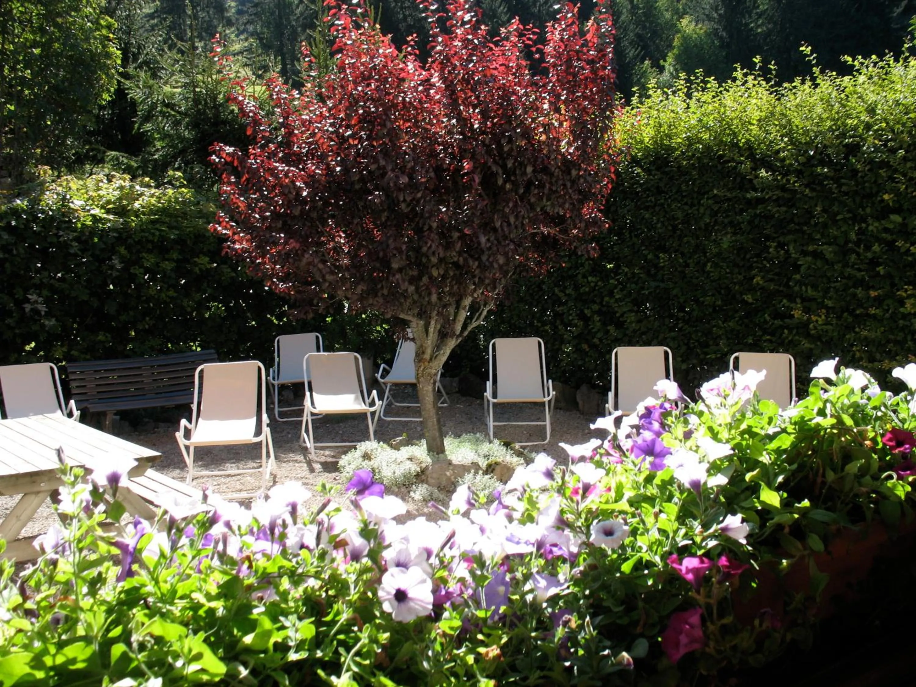 Garden in Hôtel Bellachat