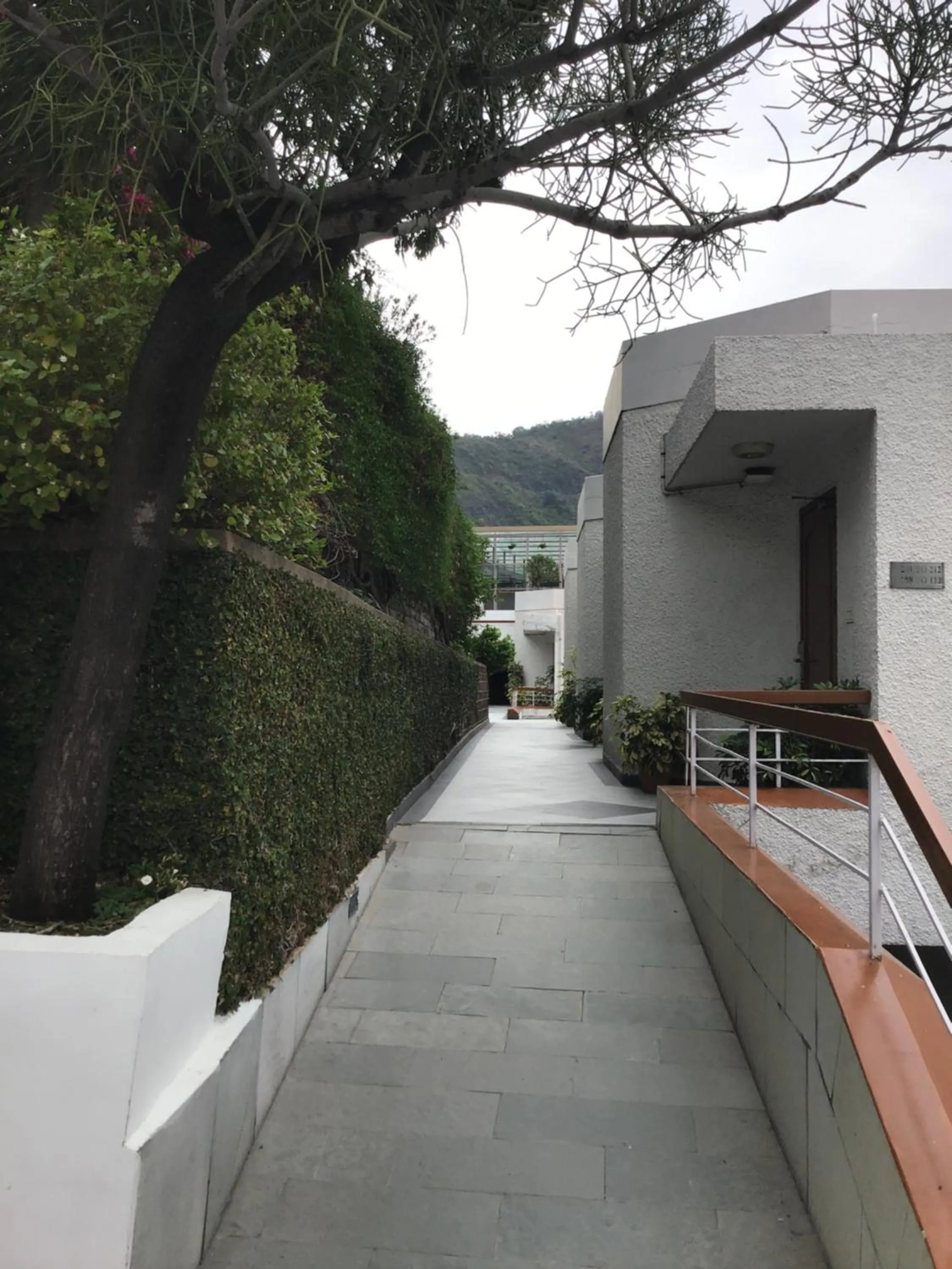 View (from property/room) in Timber Trail Base Resort - At the Foothills of Adventure