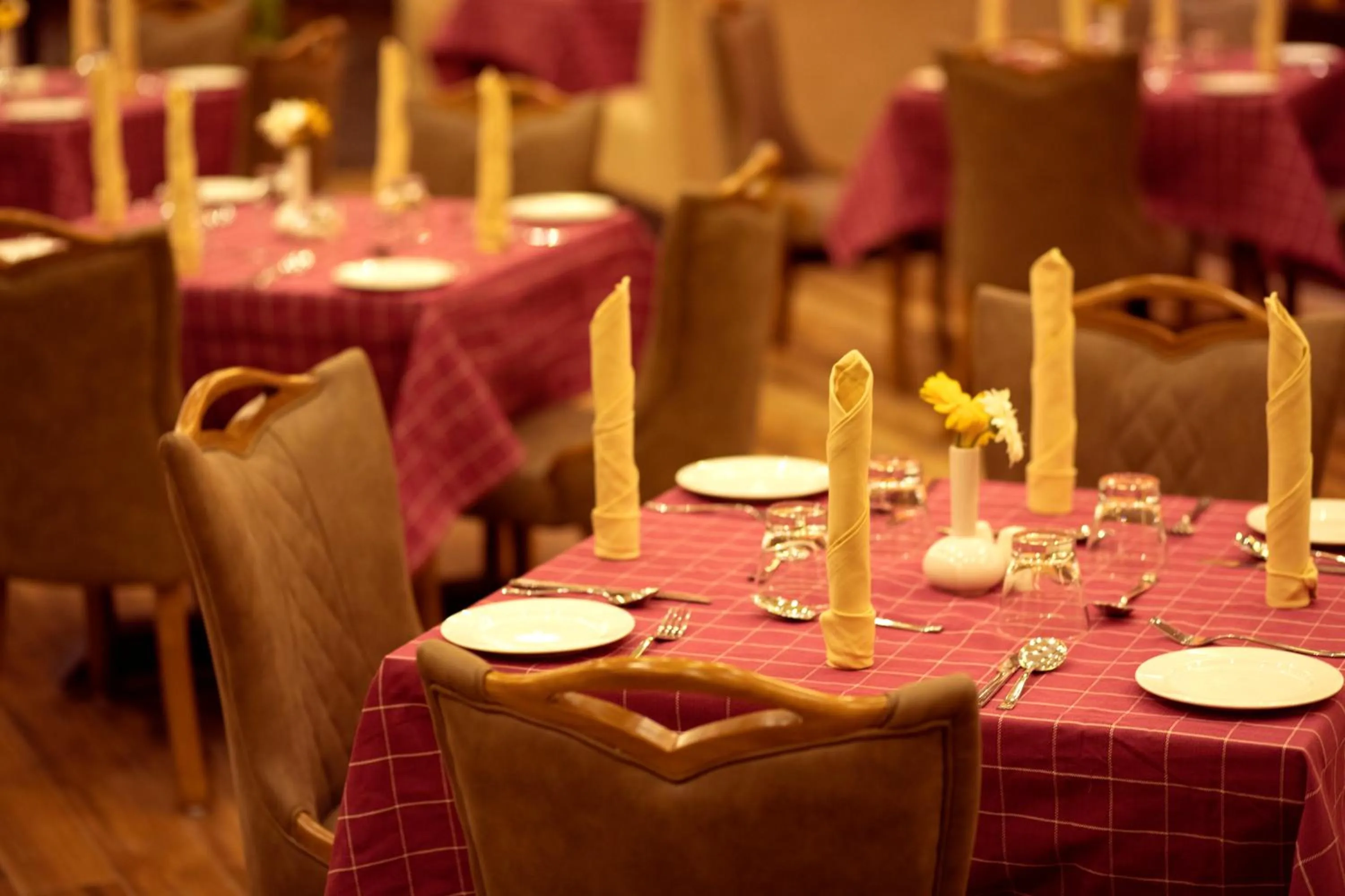 Restaurant/places to eat in Au Revoir Wellness Resort, Malampuzha