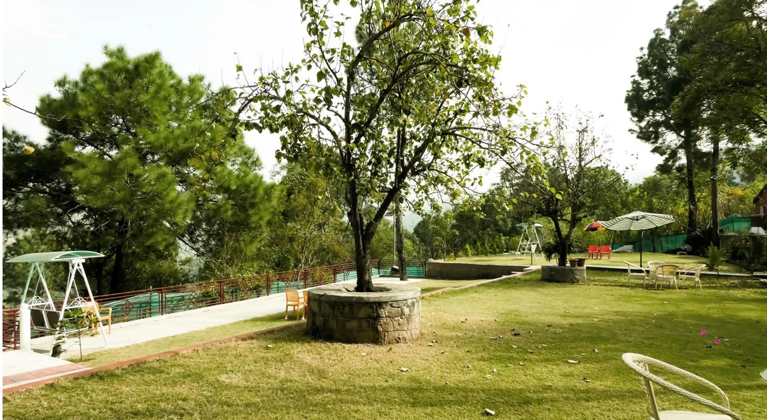 Garden in Kasauli Nature Inn