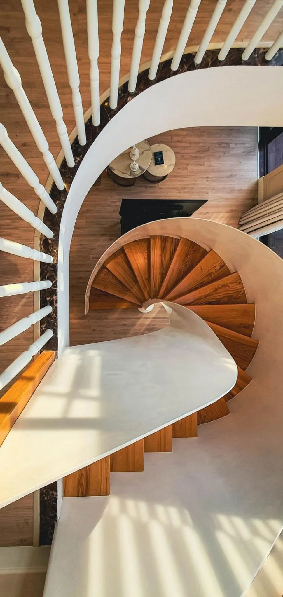 Area and facilities in Louis Mo Apartment