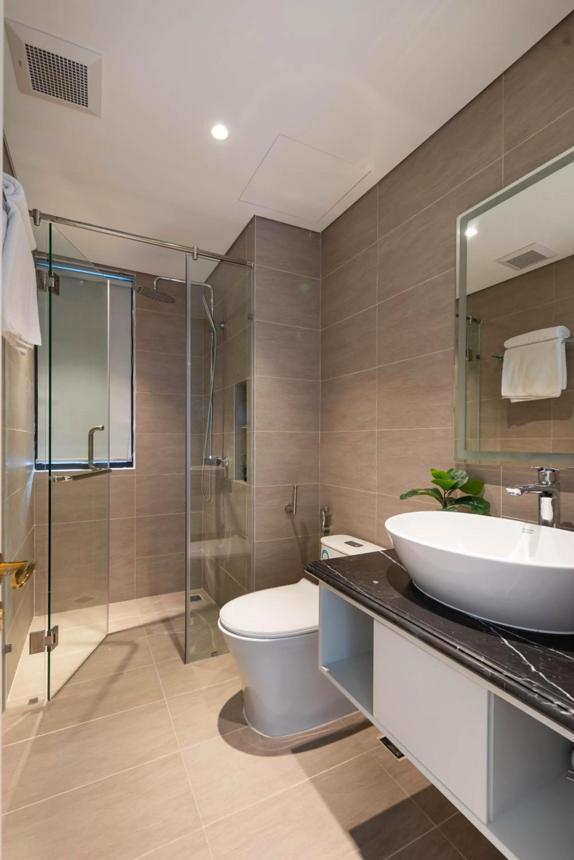 Toilet in Louis Mo Apartment