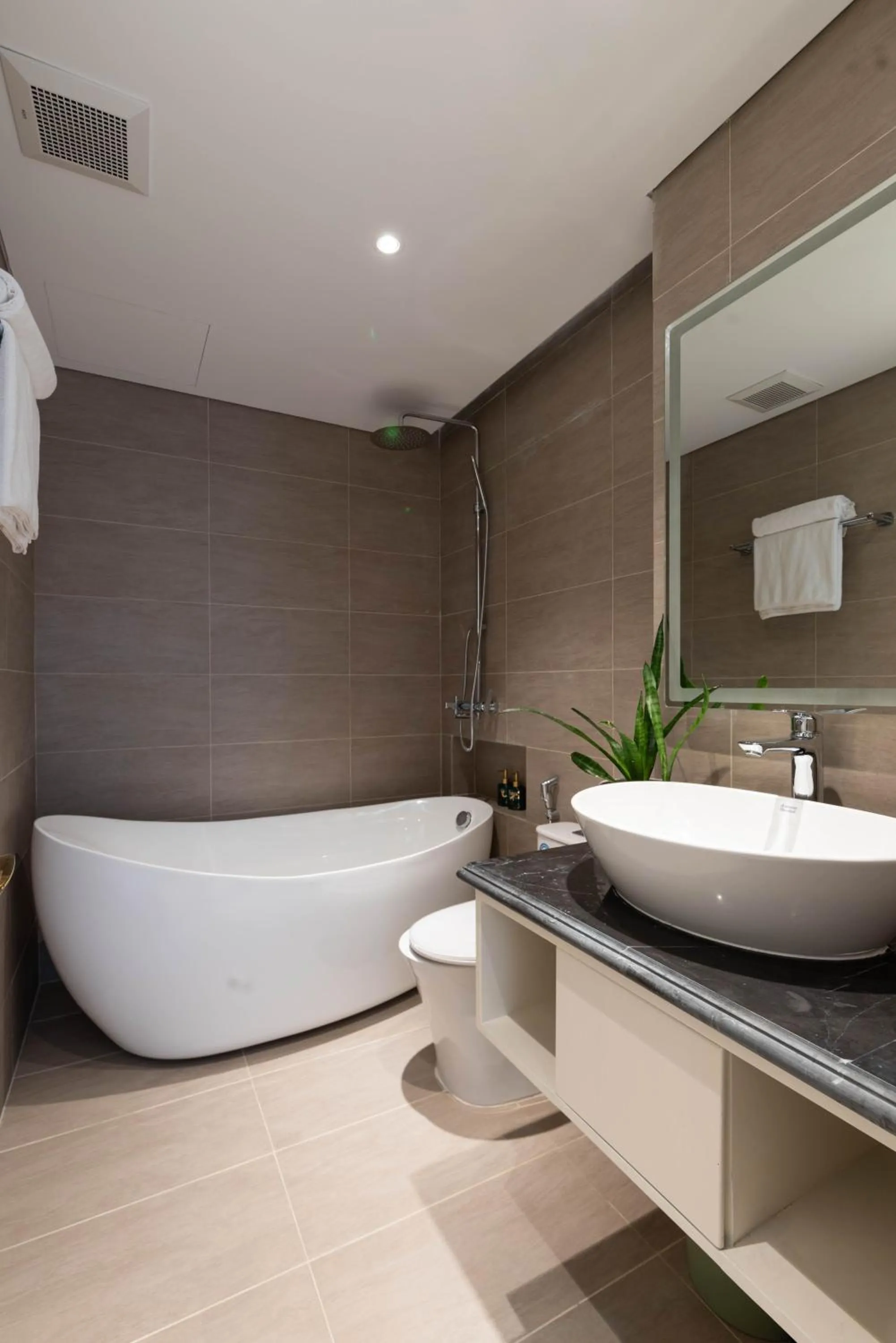 Toilet in Louis Mo Apartment