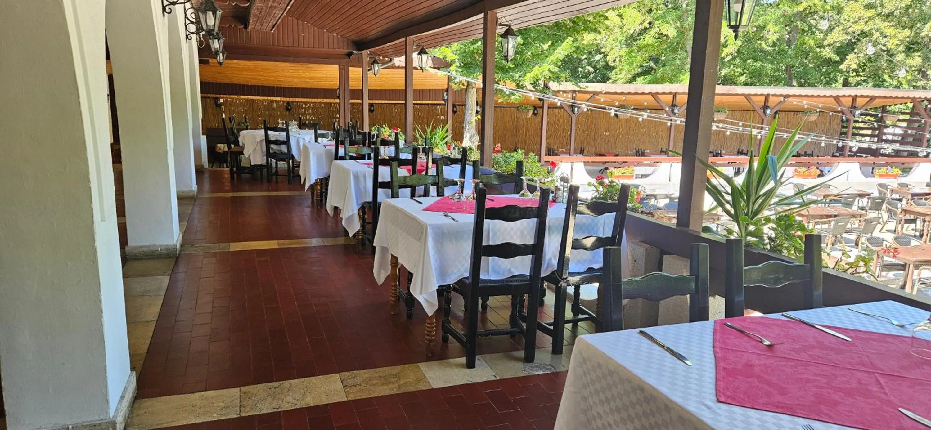 Restaurant/places to eat in Ilinca