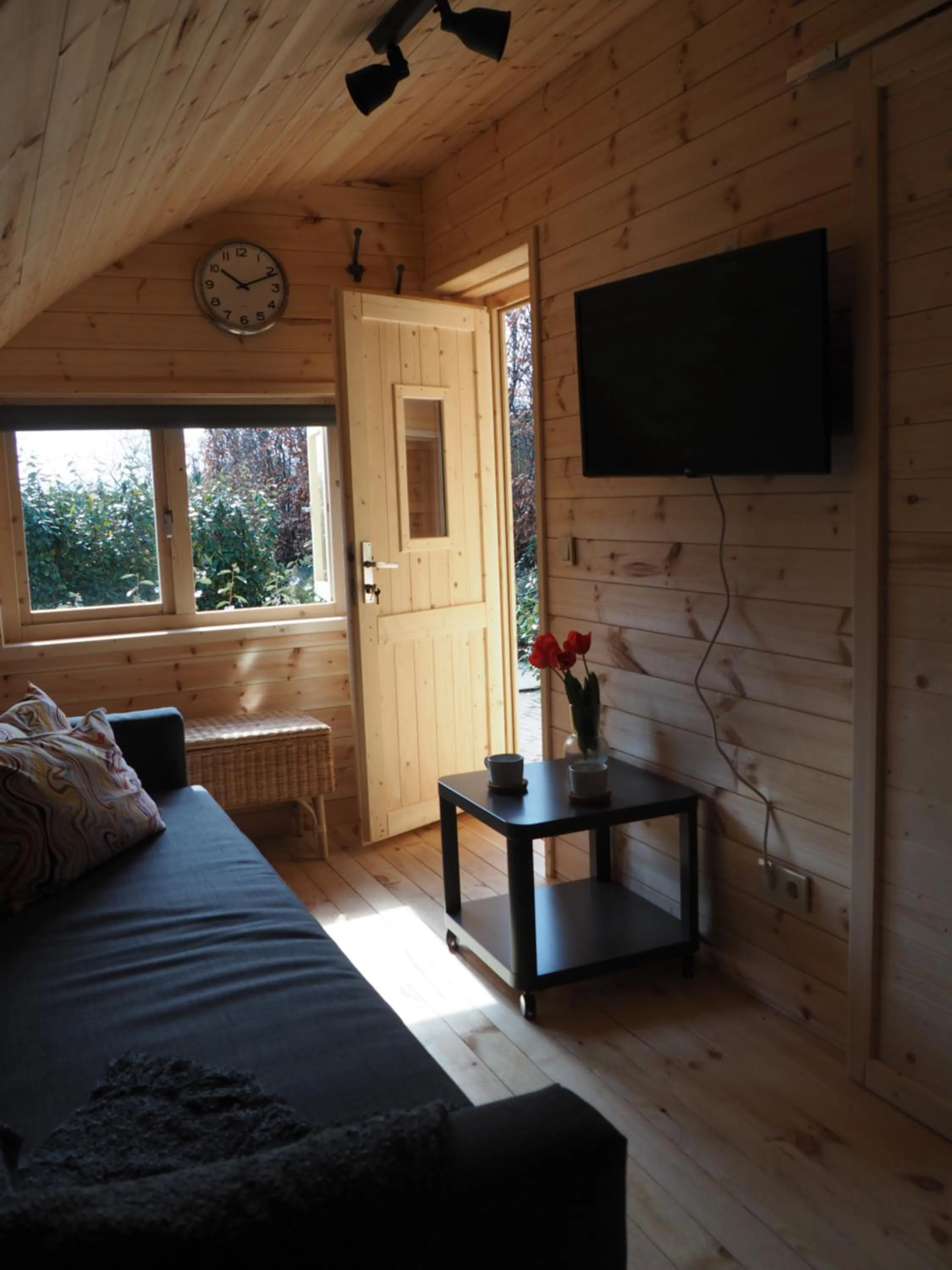 TV and multimedia in Polderlodge