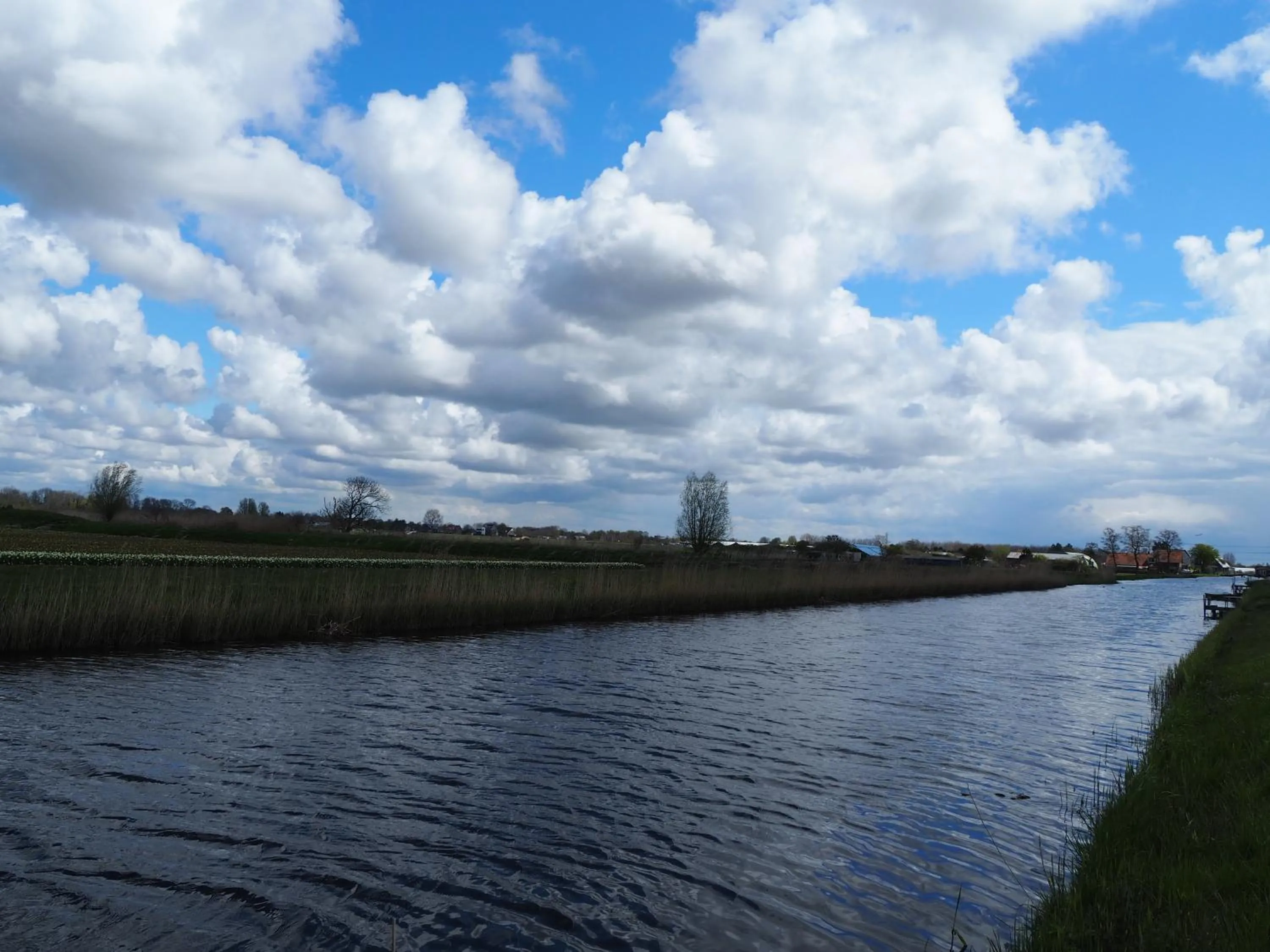 Natural landscape in Polderlodge