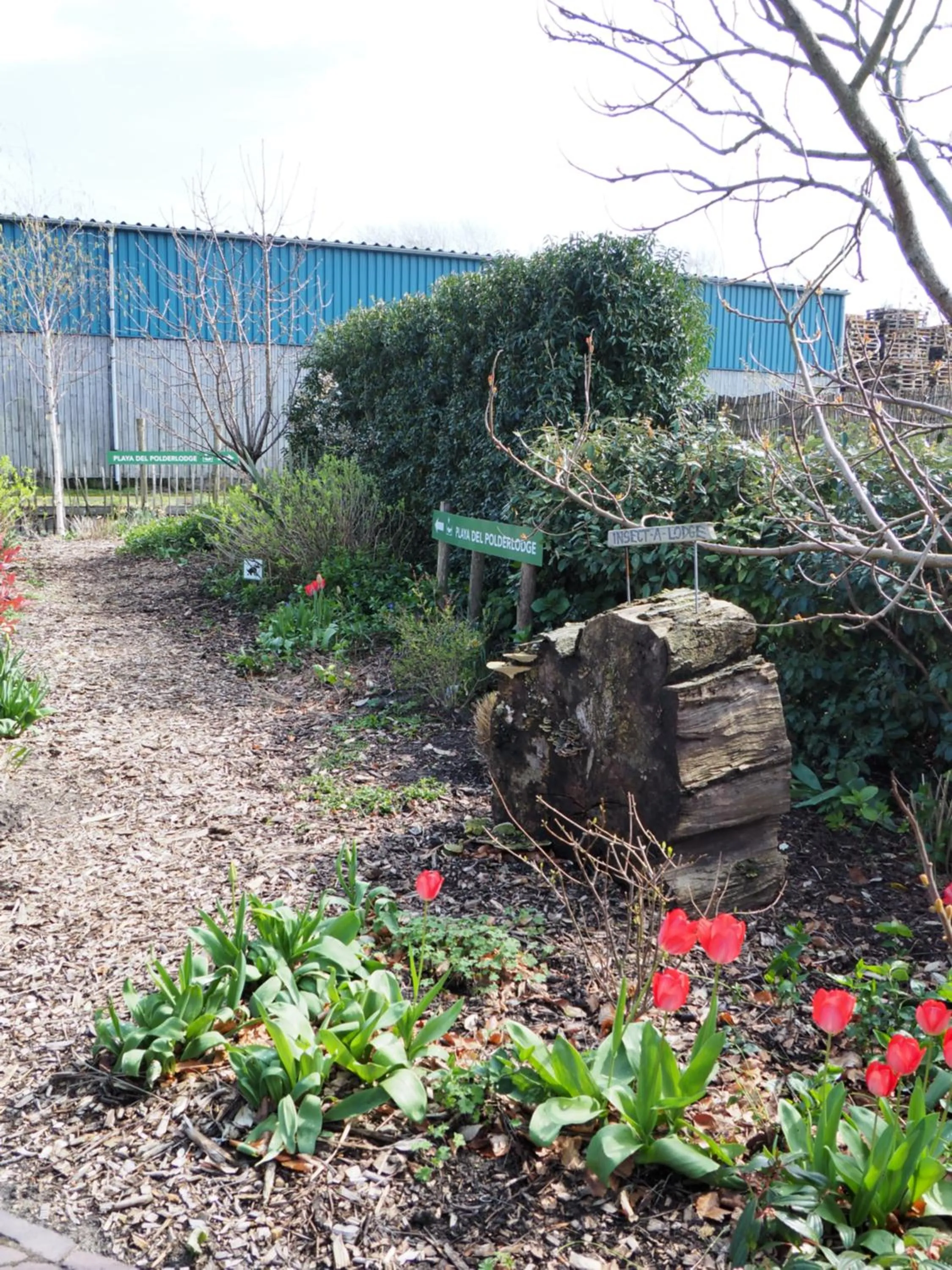 Garden in Polderlodge