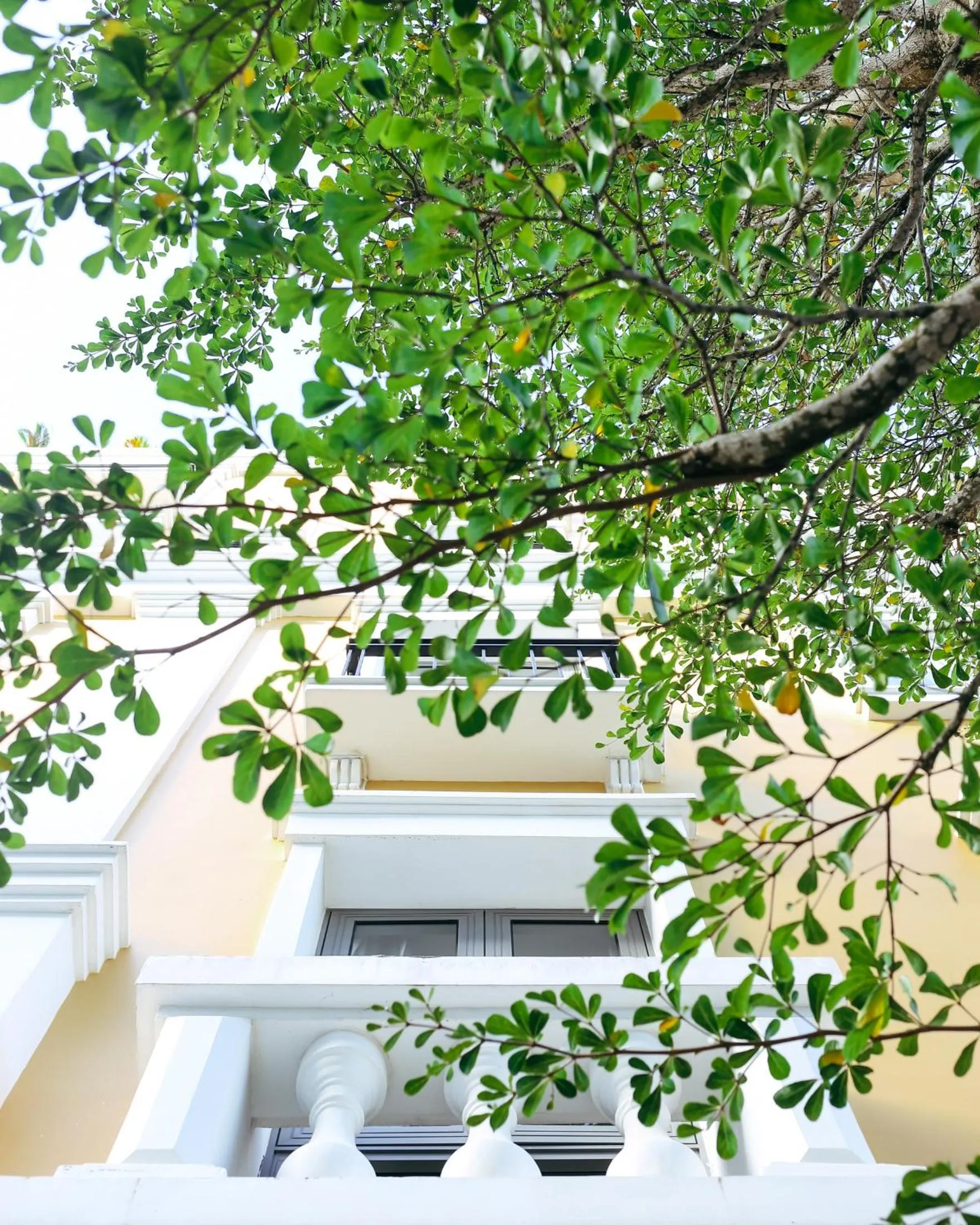 Property building in JM Boutique Hotel