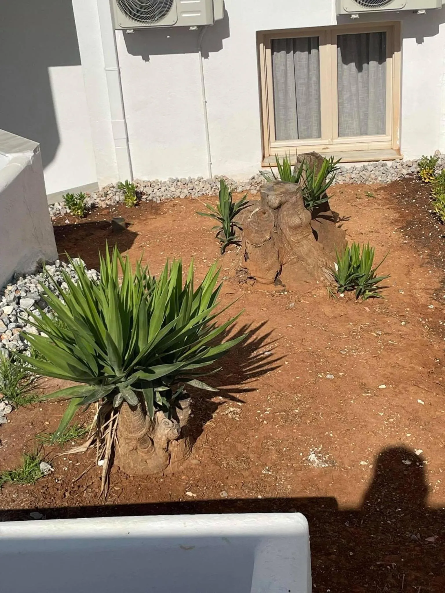 Garden in Coralli Beach Hotel