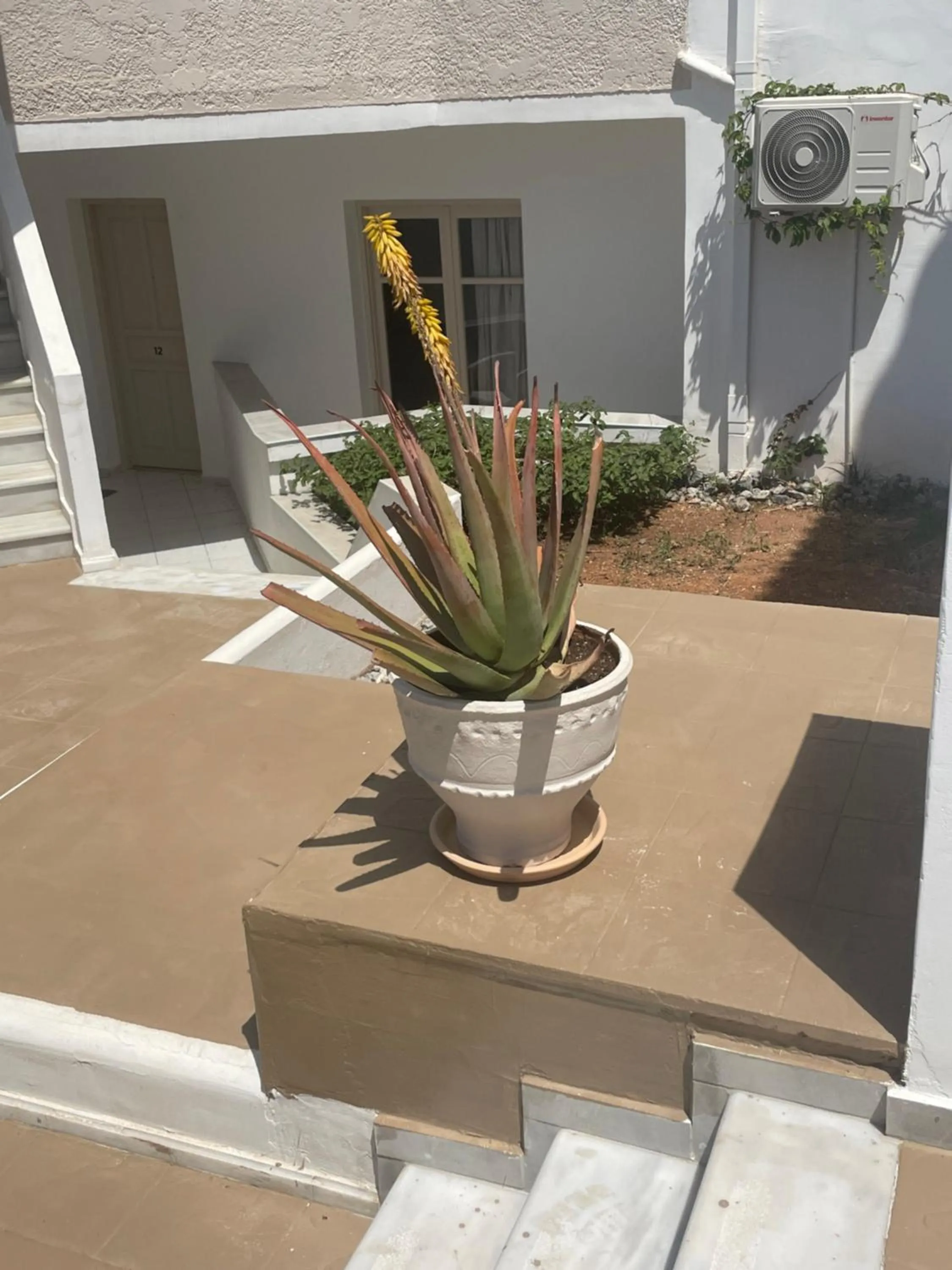 Patio in Coralli Beach Hotel