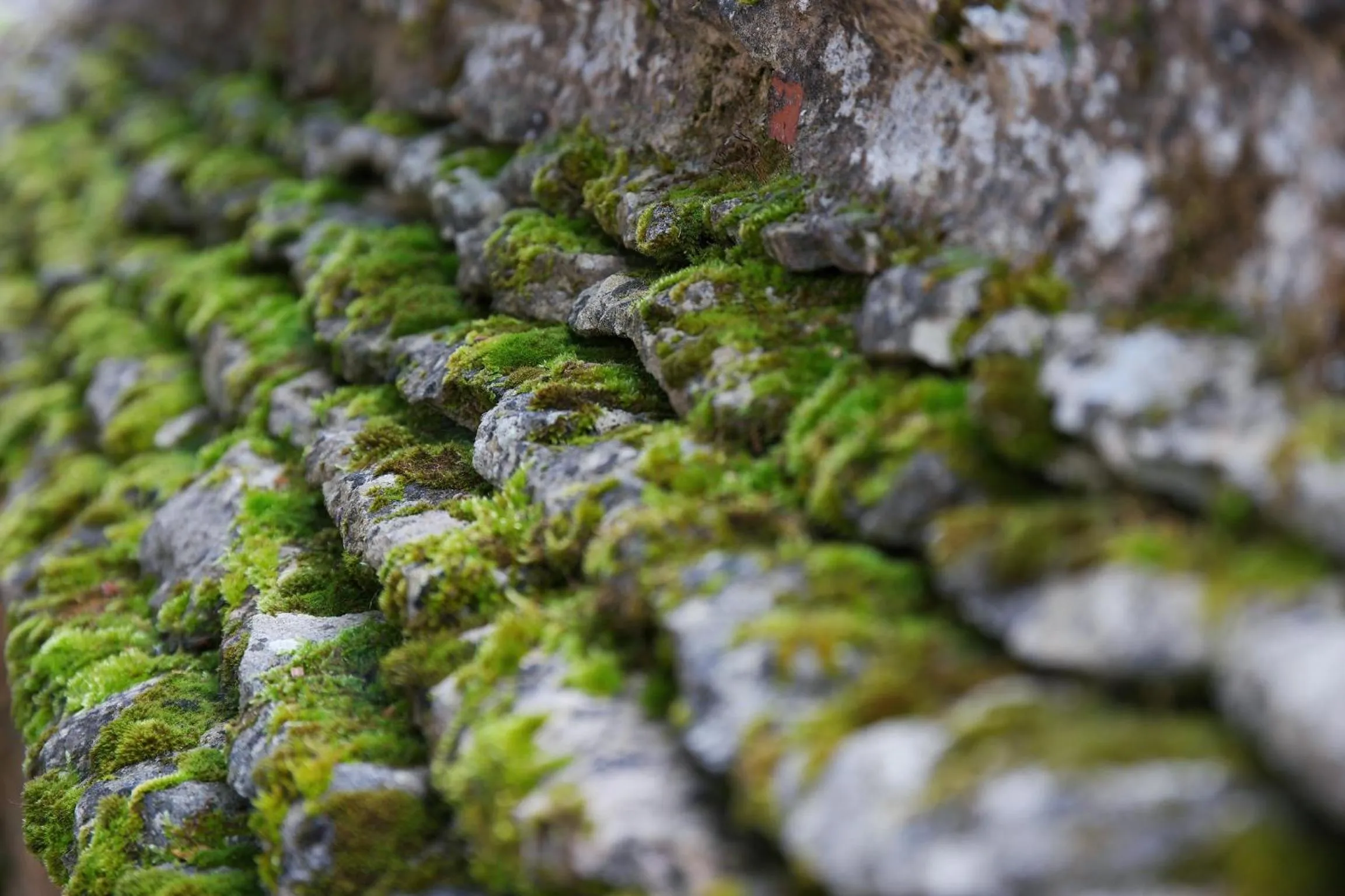 Property building in Le Clos de la Tour