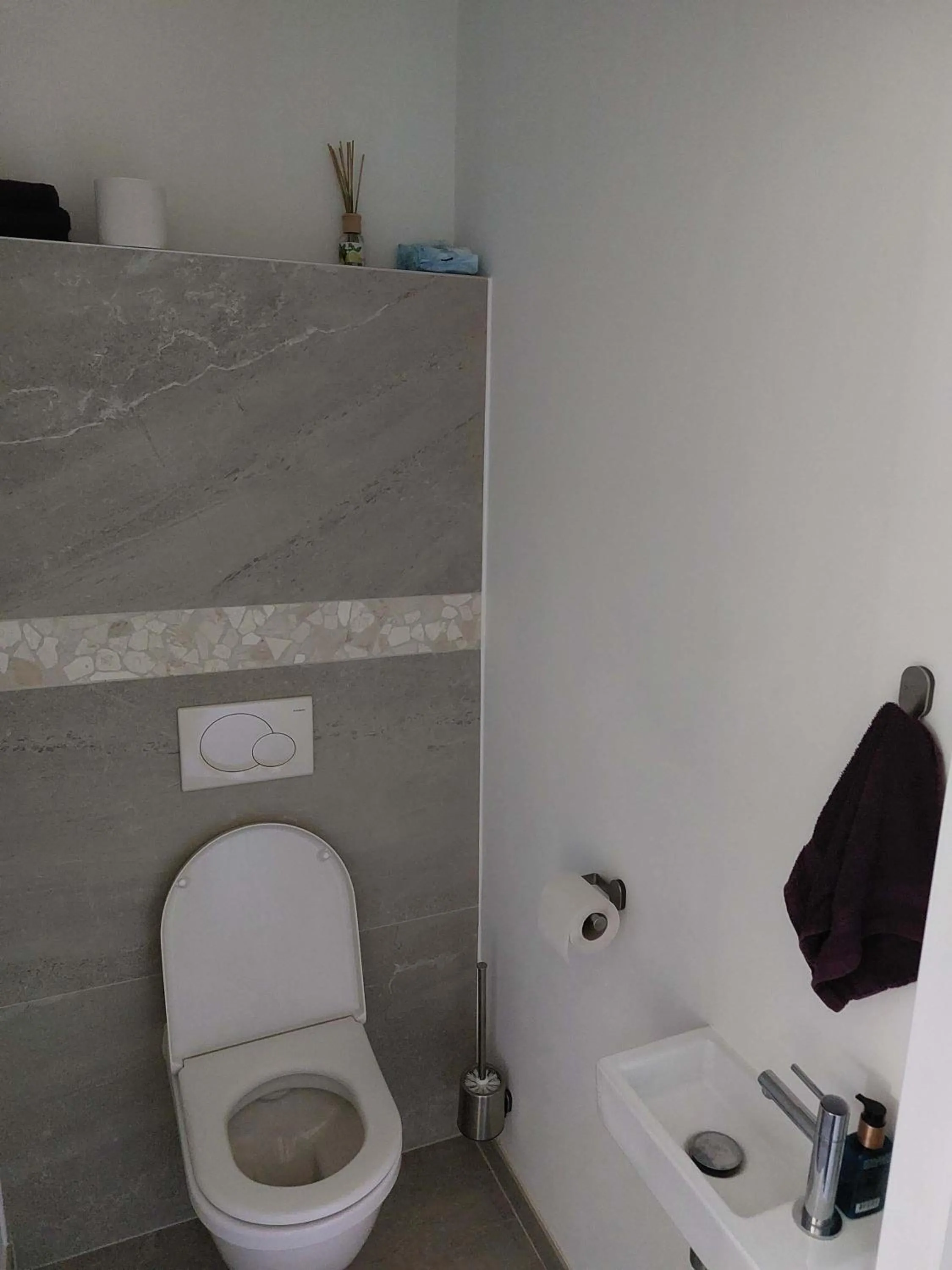 Toilet in Vida Verde