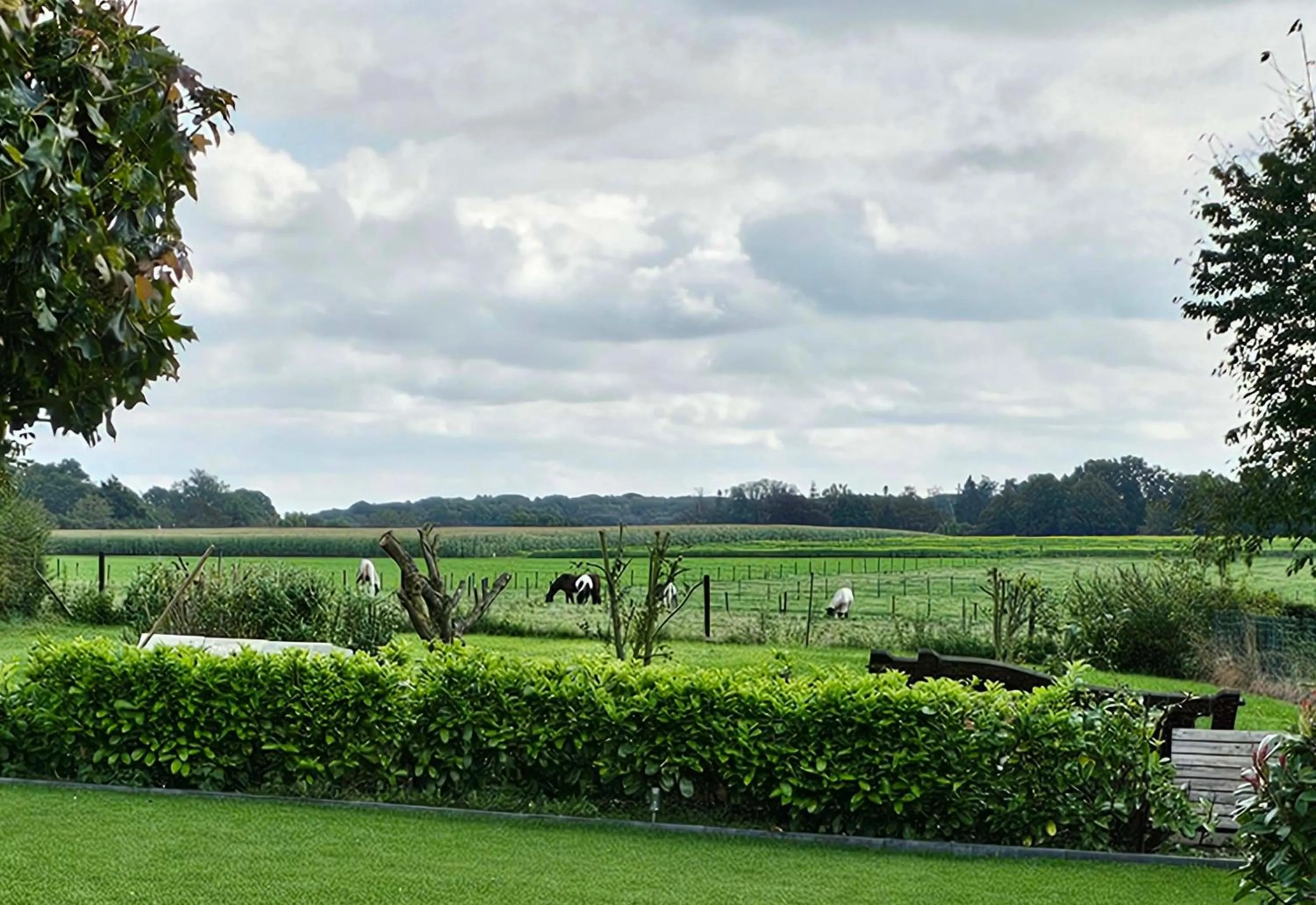 Spring in Vida Verde