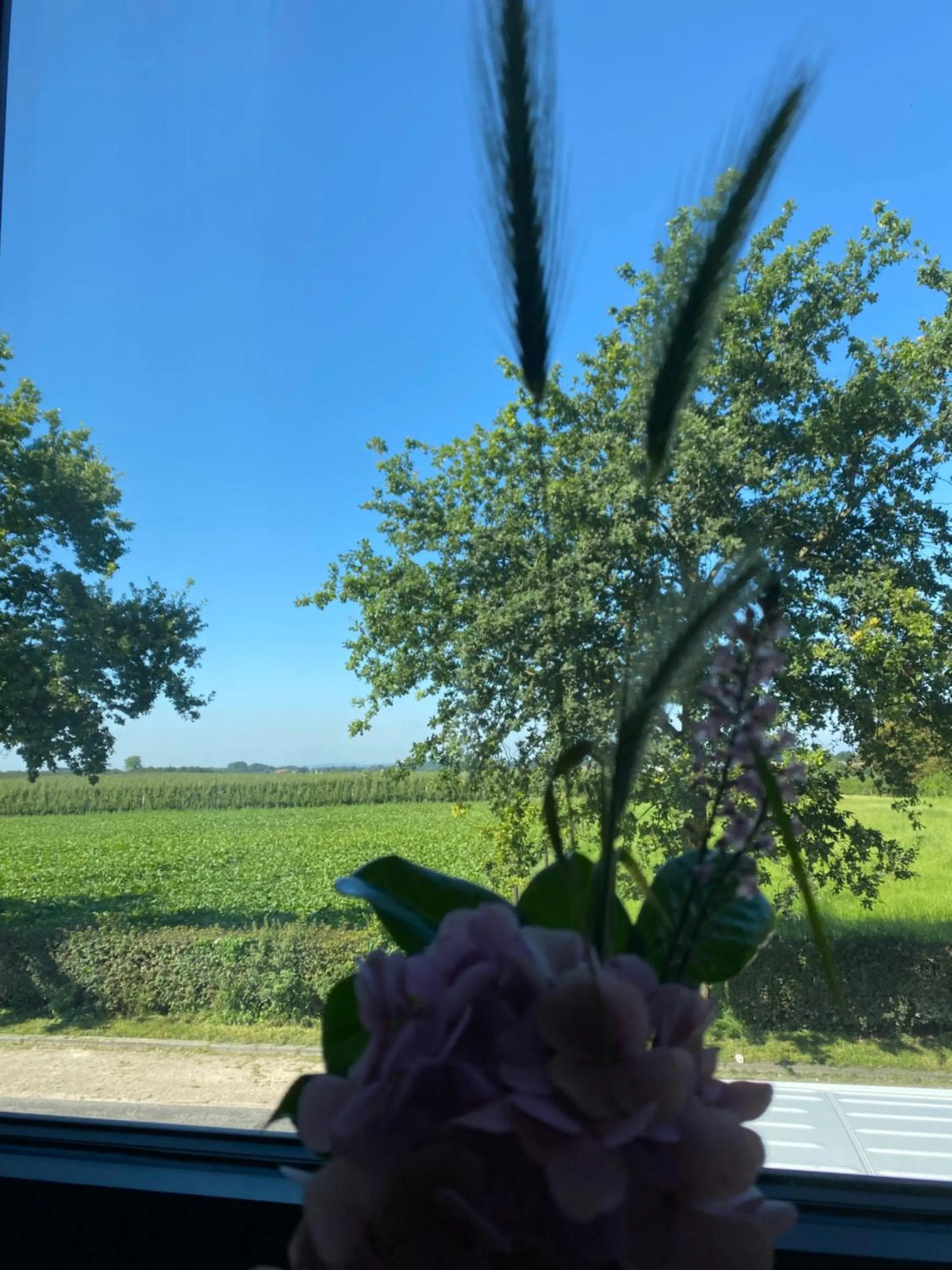 Spring in Vida Verde