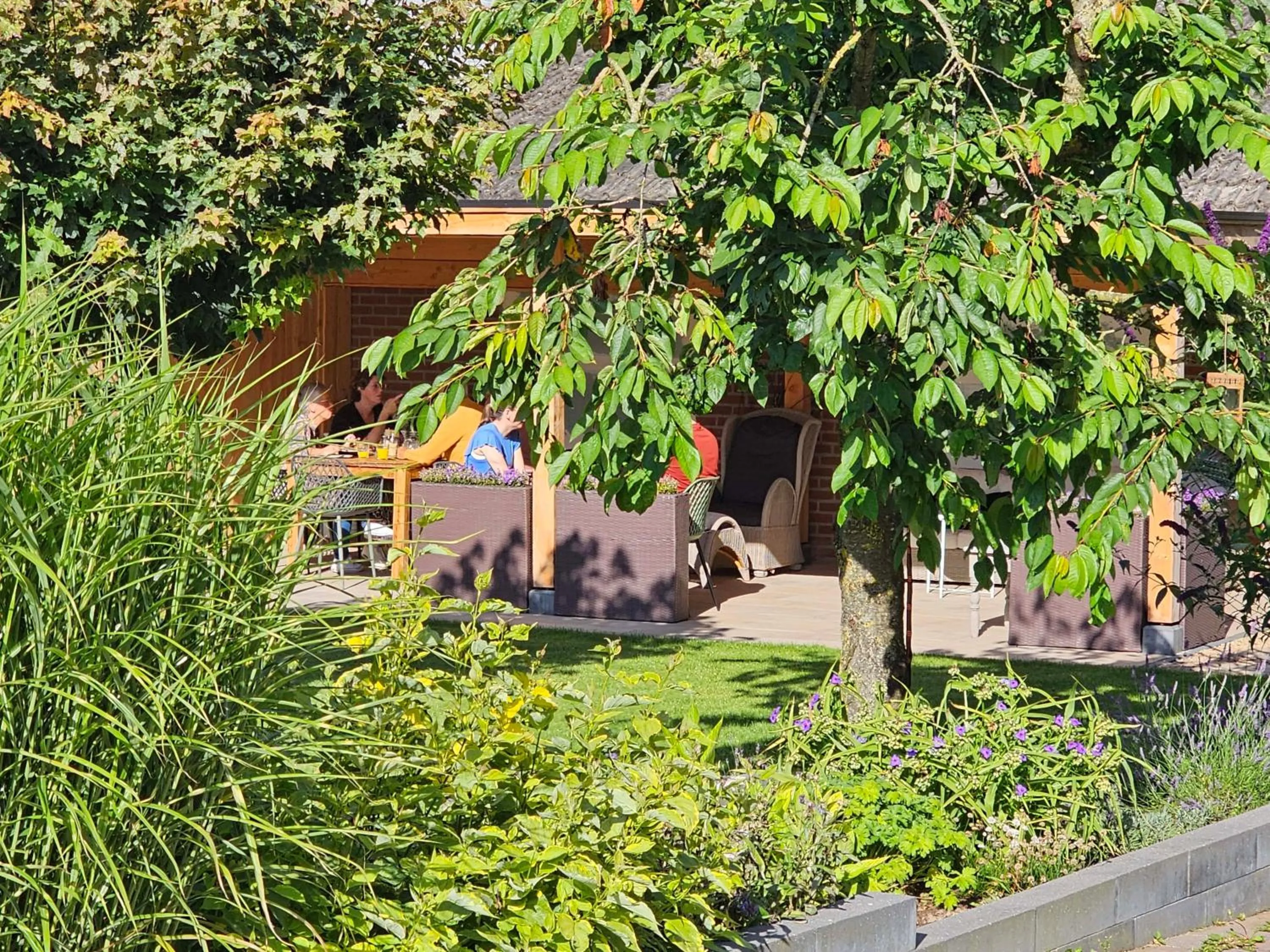 Spring in Vida Verde