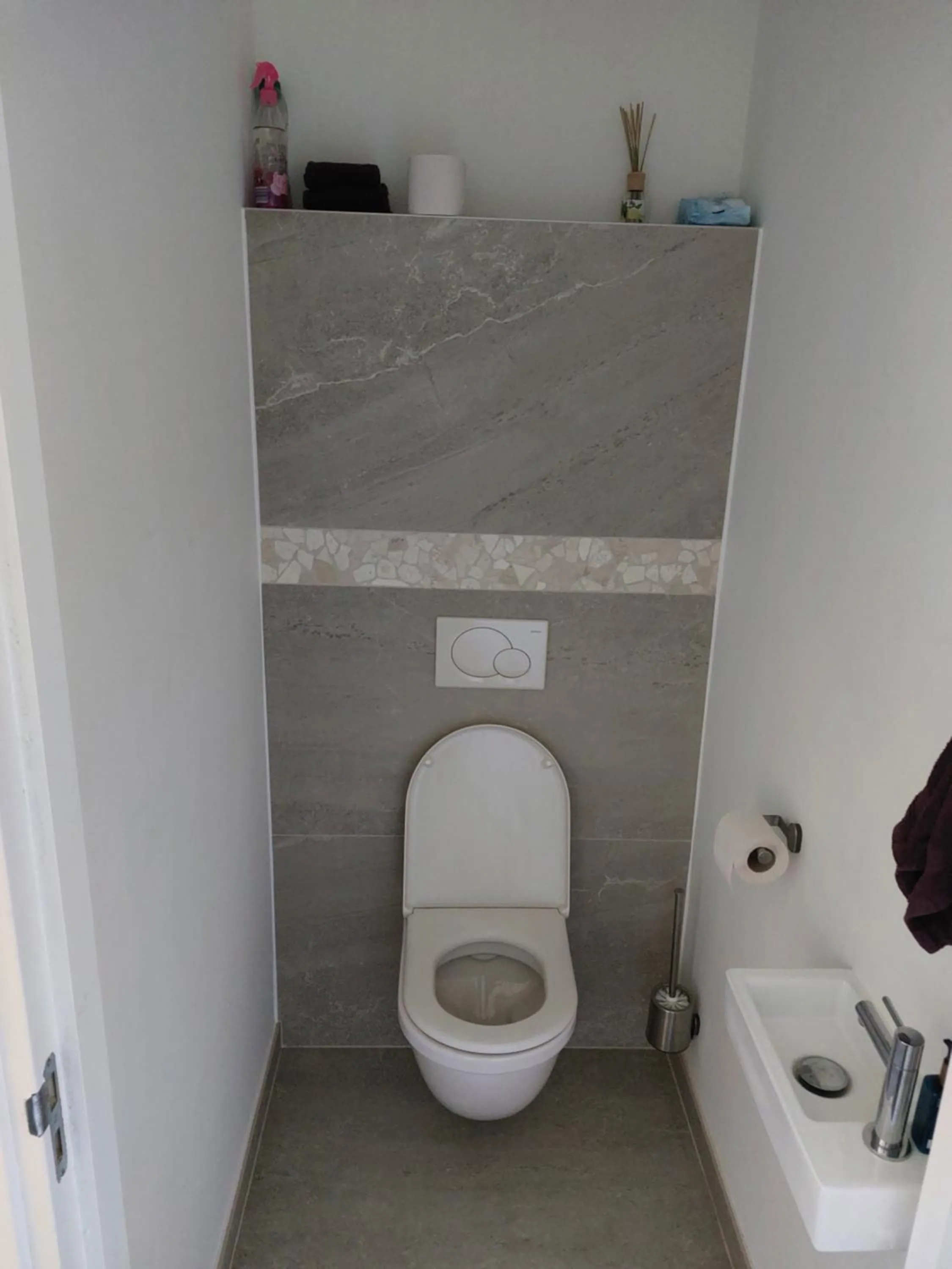 Toilet in Vida Verde