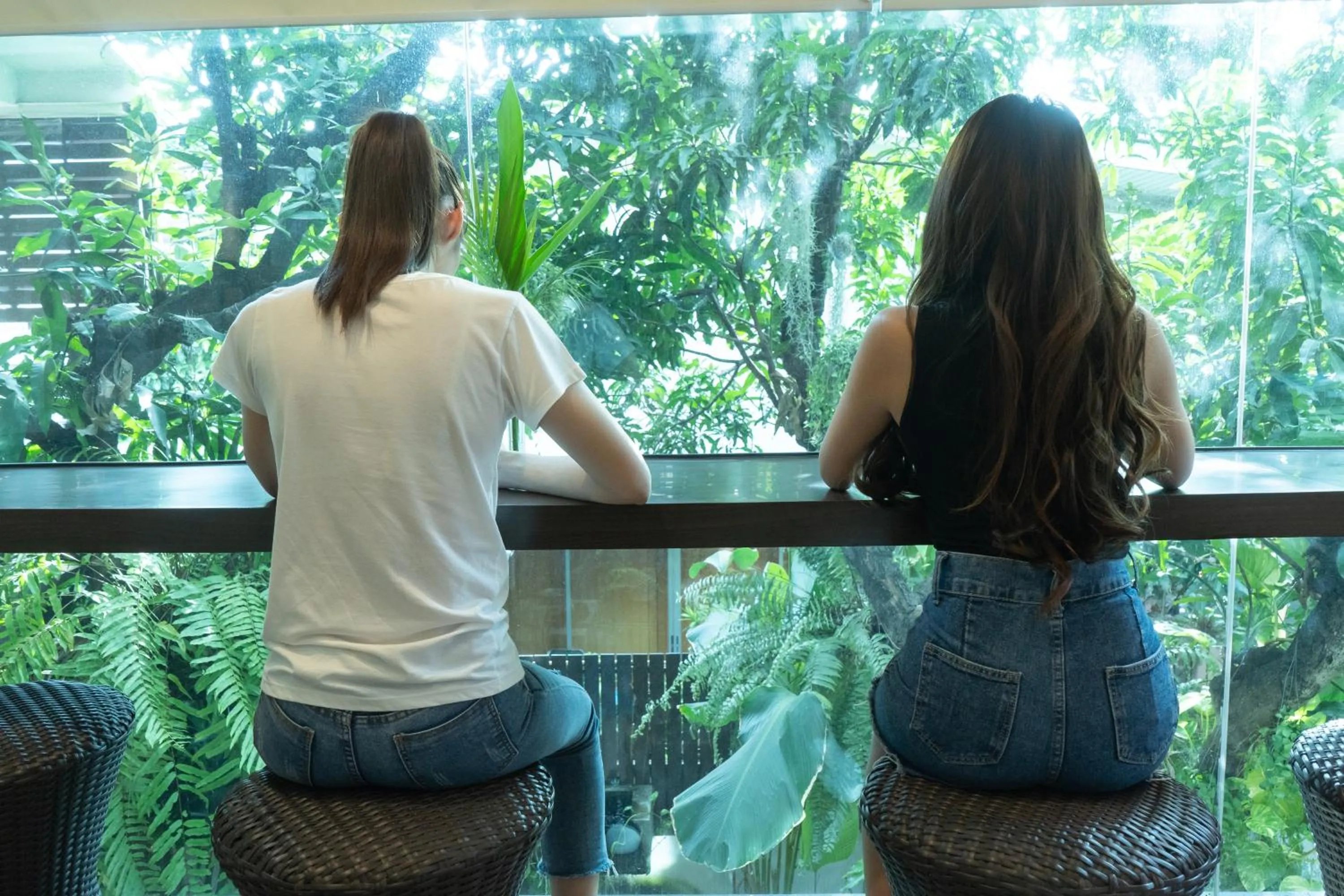 Lounge or bar in Third Rock Hostel