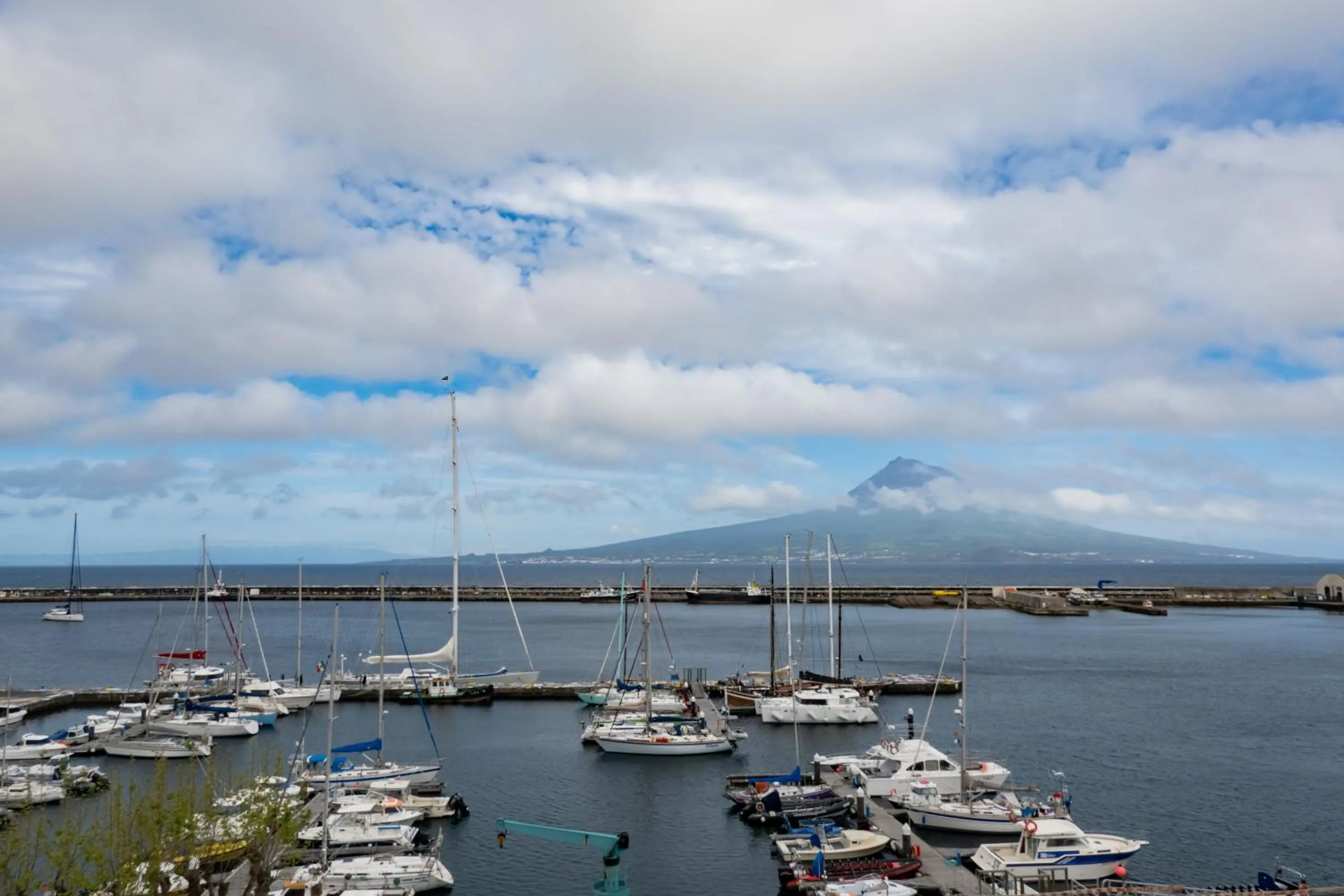 TV and multimedia in Nereida