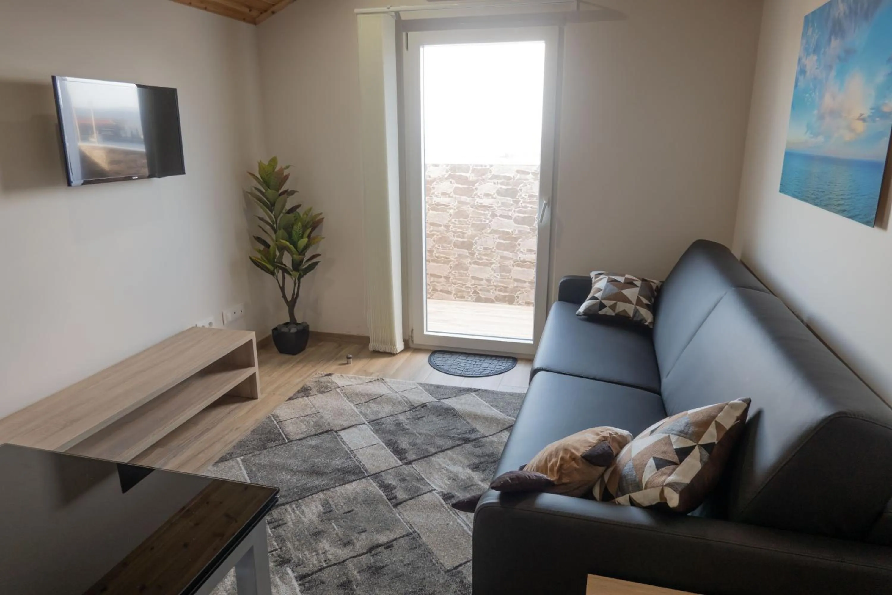 TV and multimedia in Nereida